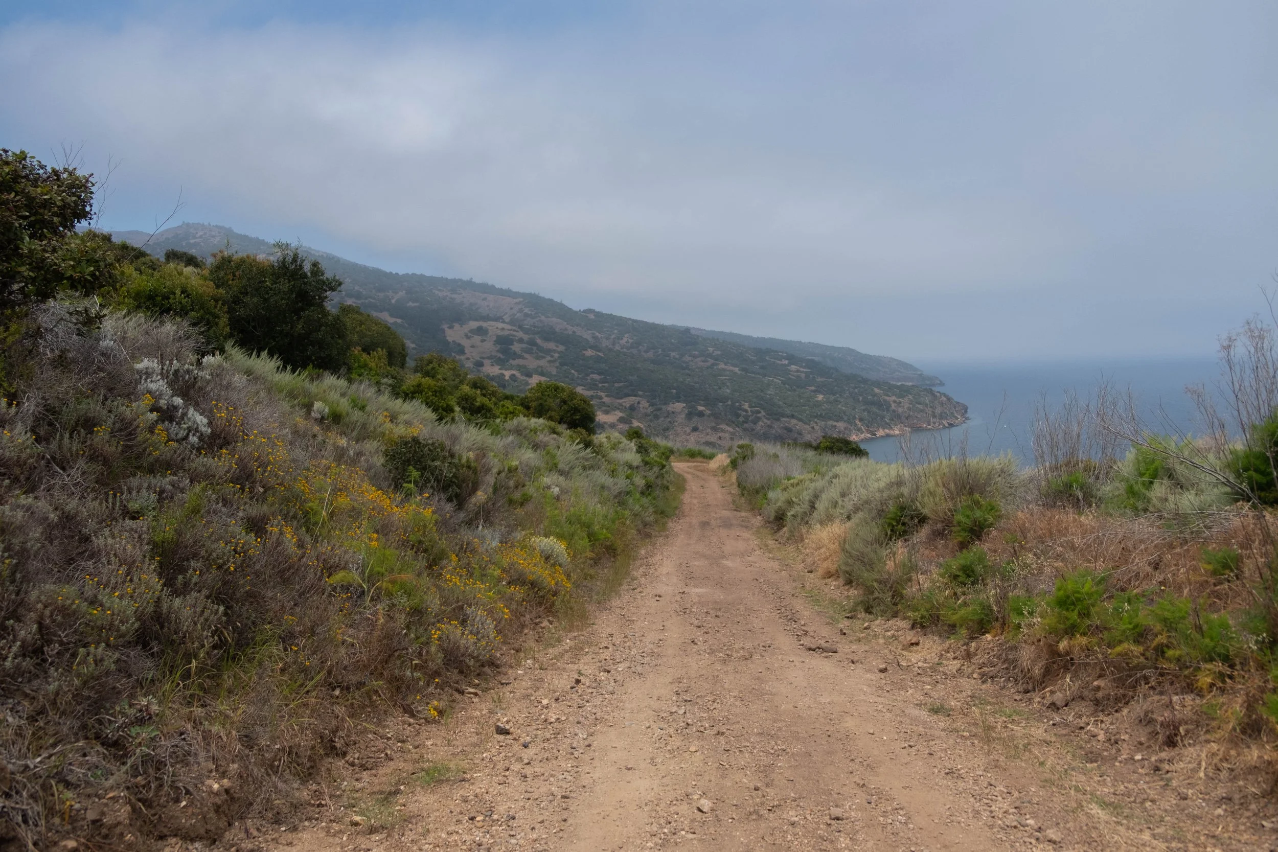 DSCF9550.jpg