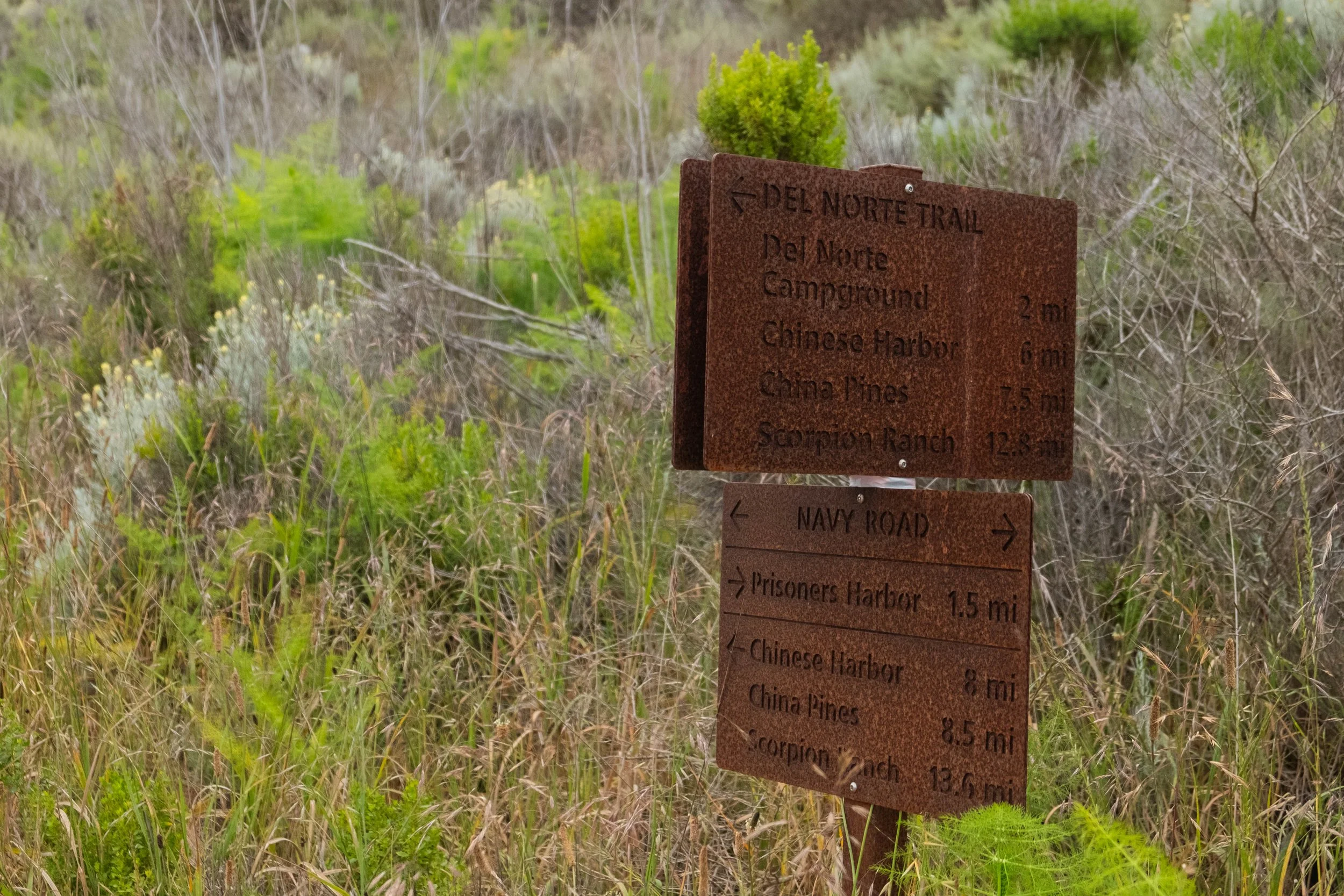 DSCF9554.jpg
