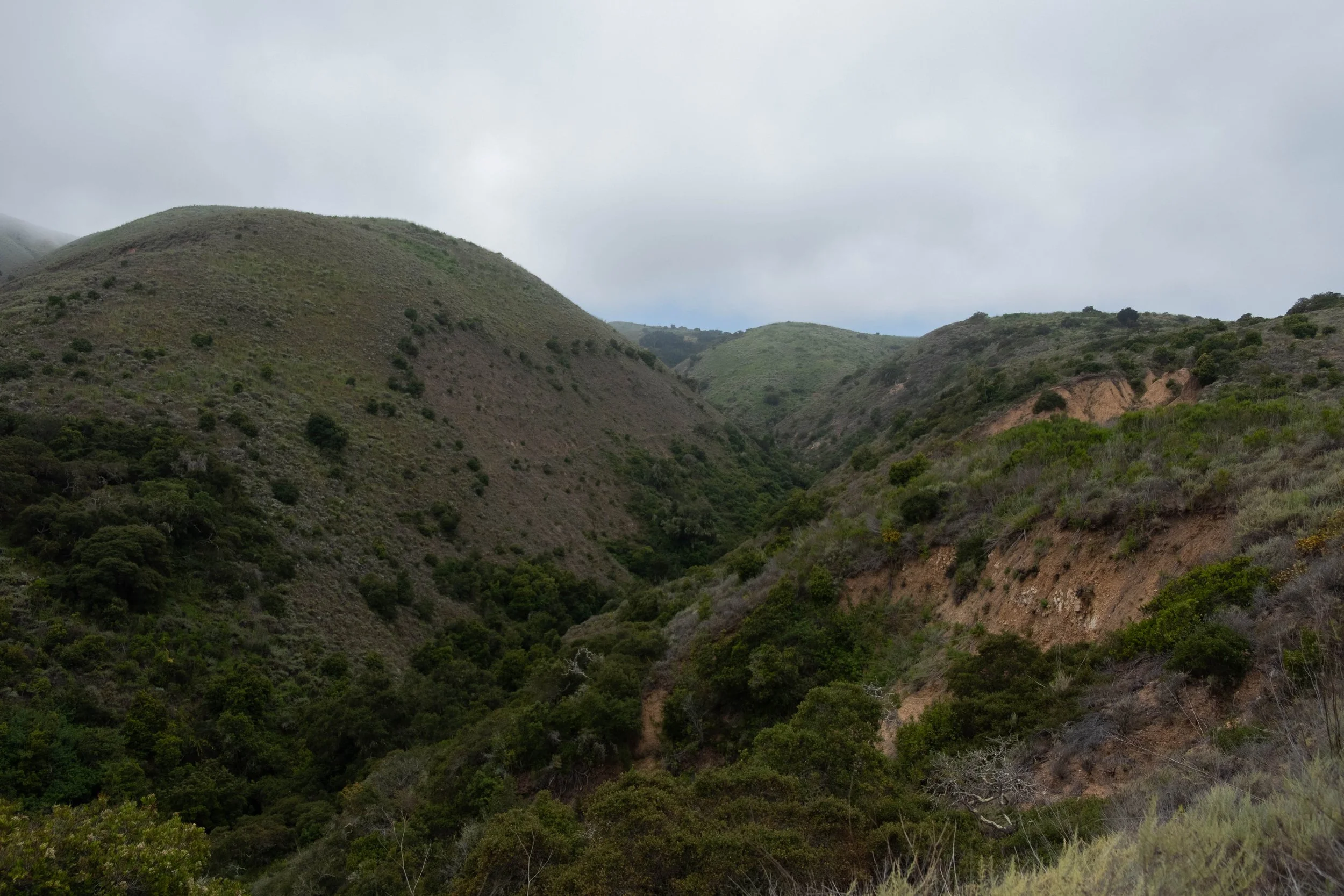 DSCF9560.jpg