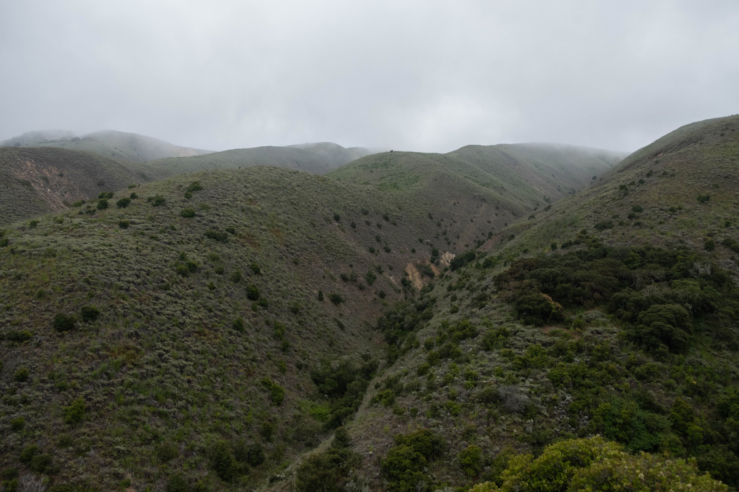 DSCF9561.jpg