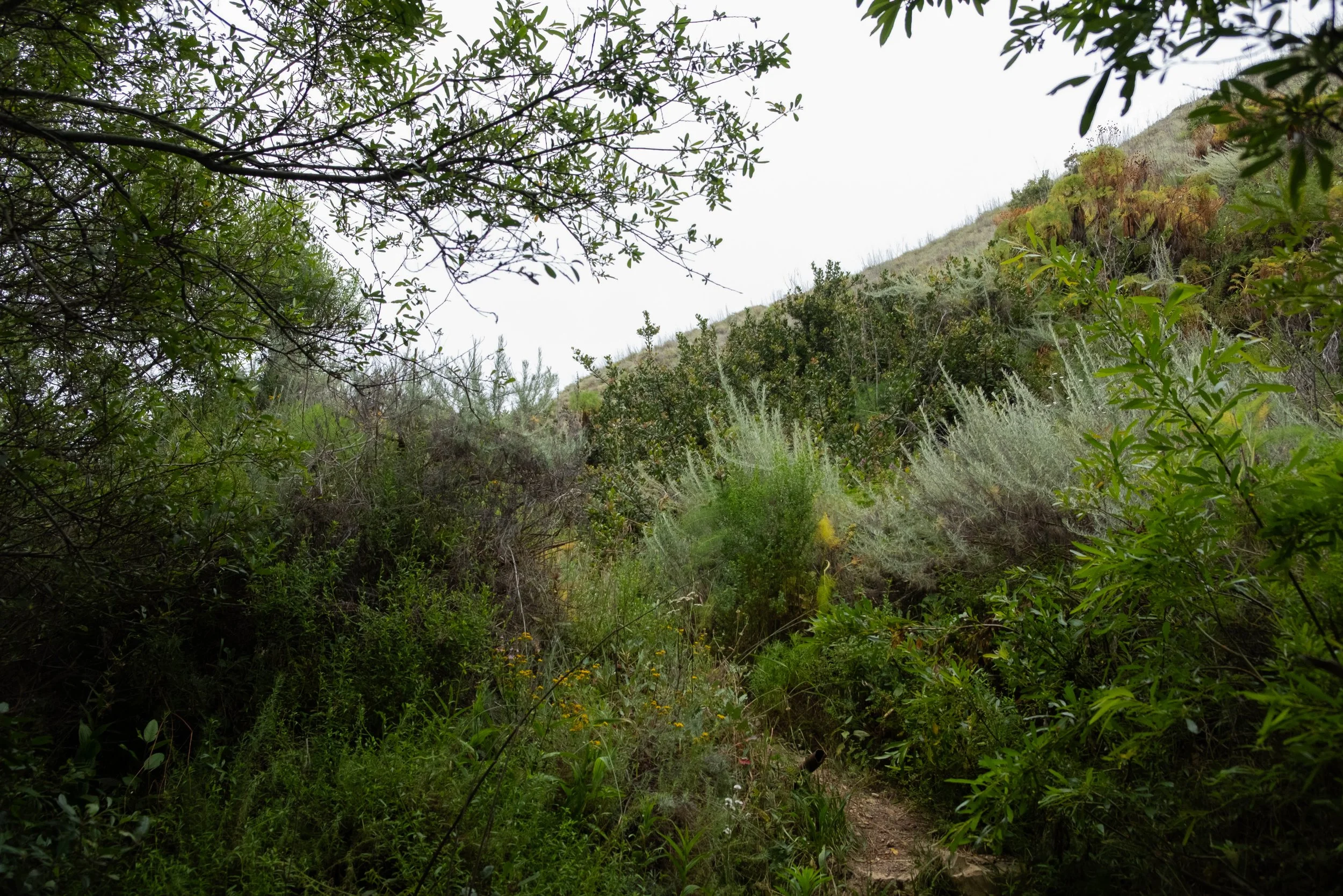 DSCF9567.jpg
