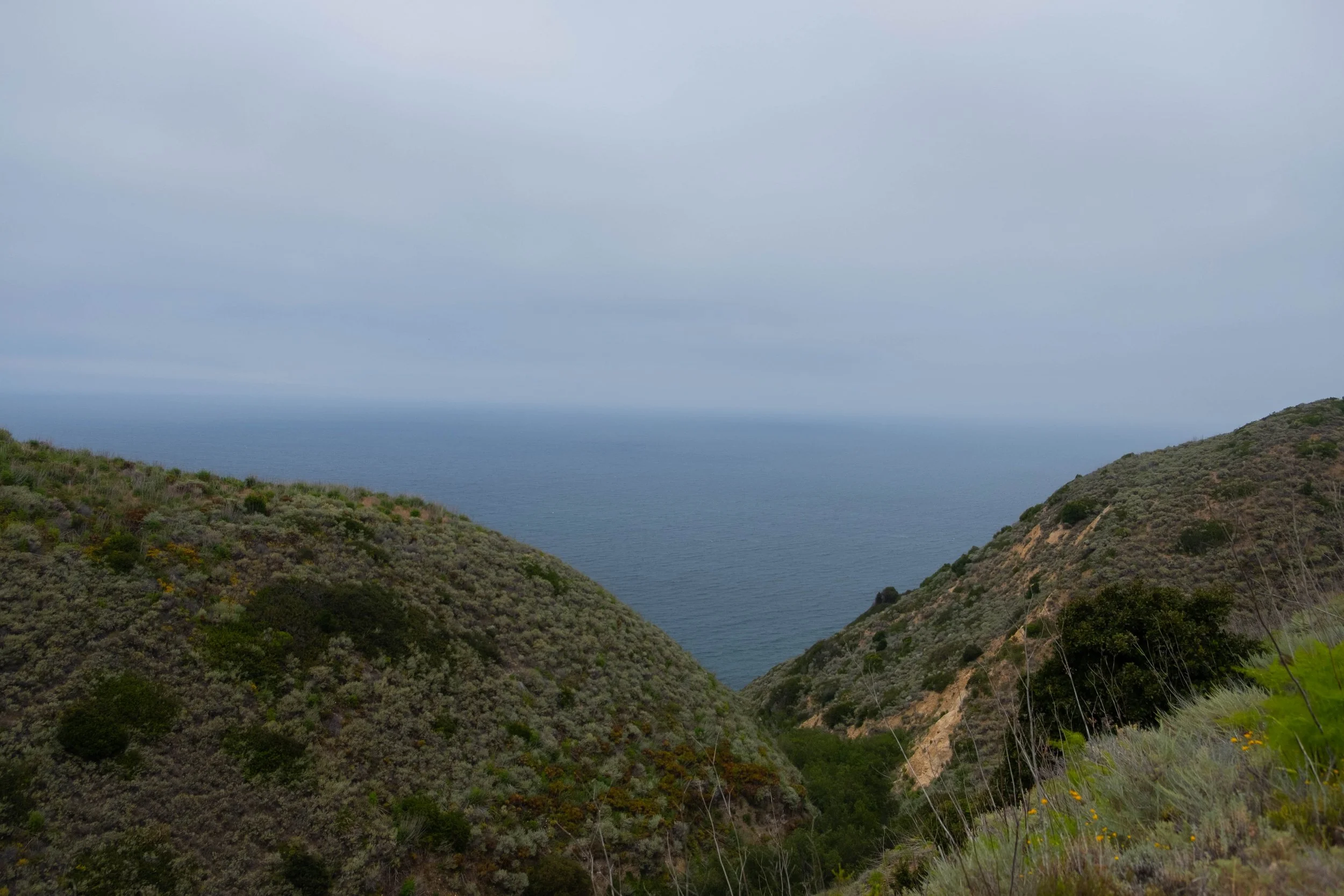 DSCF9568.jpg