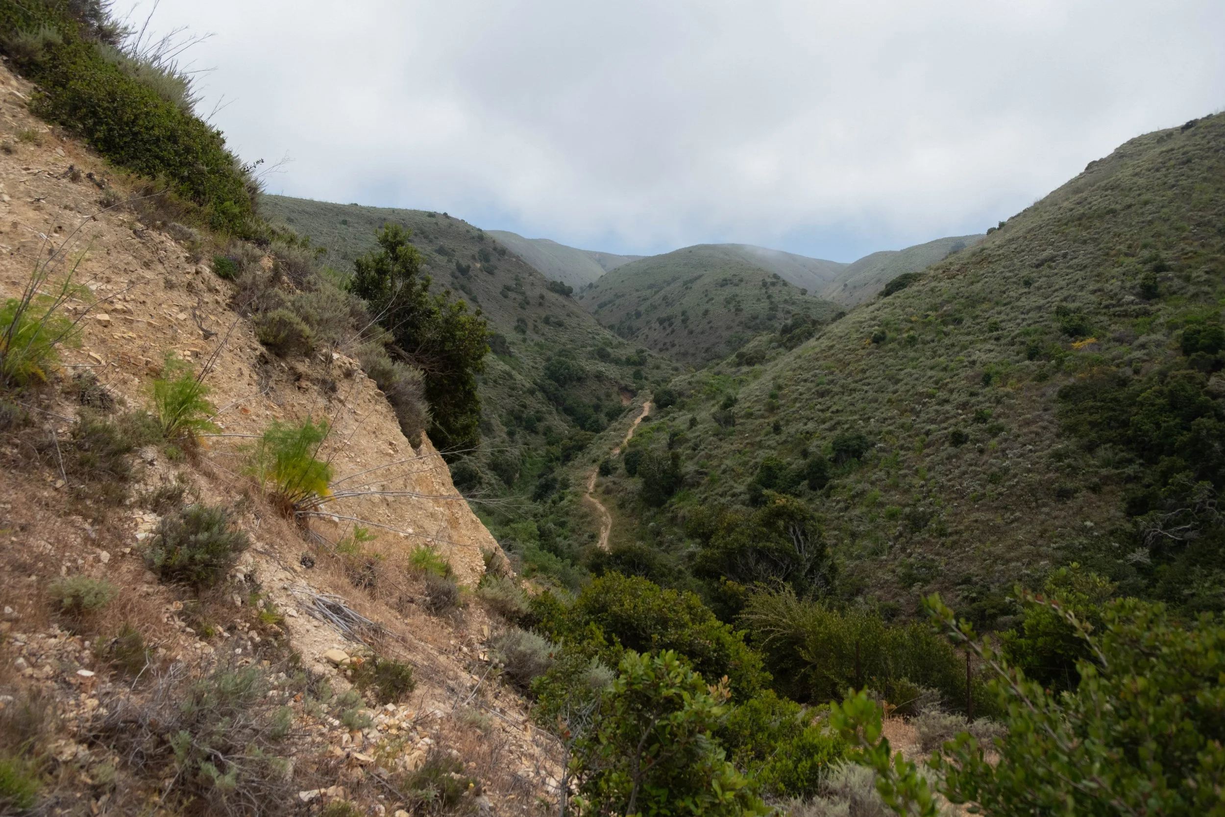 DSCF9571.jpg