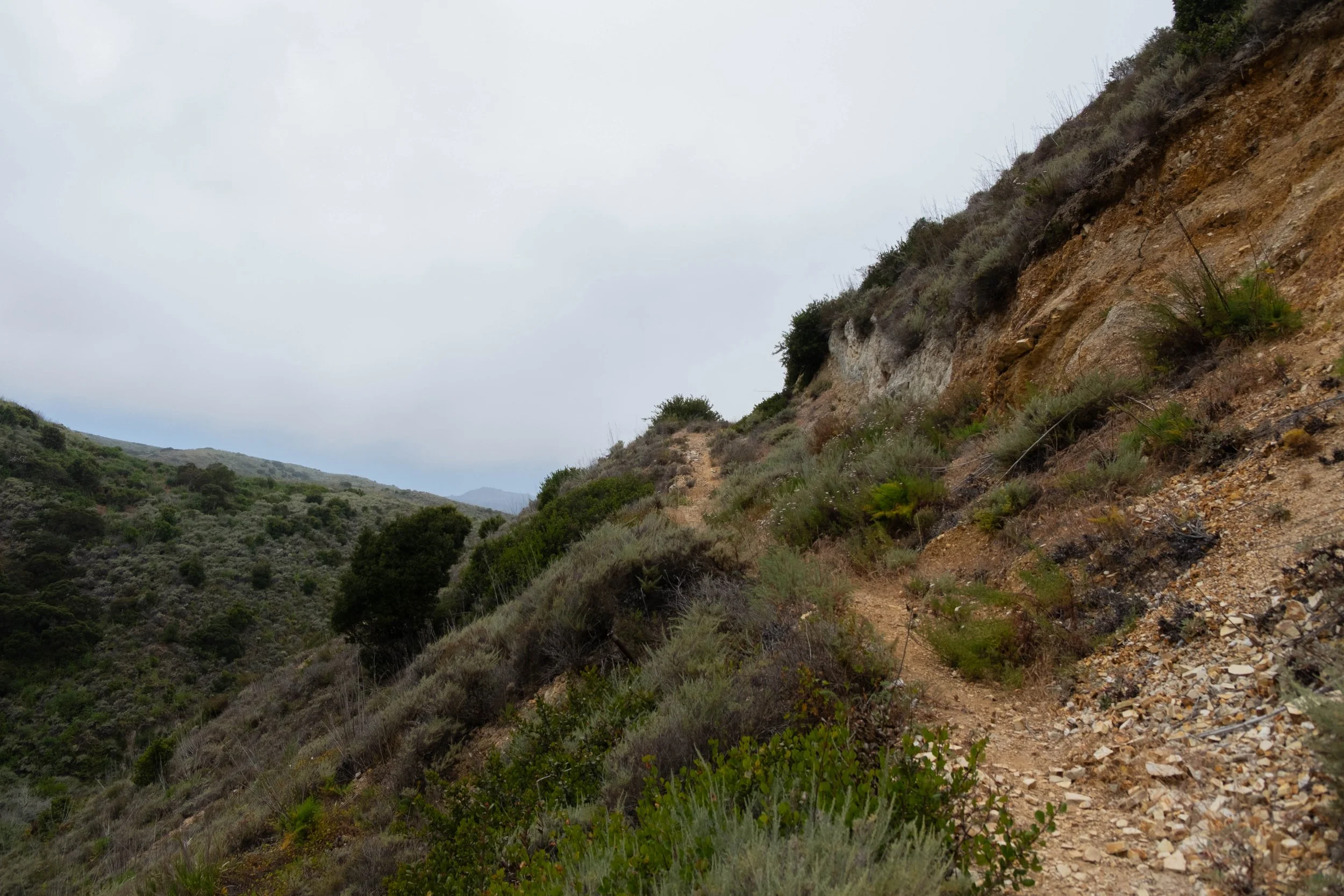 DSCF9572.jpg
