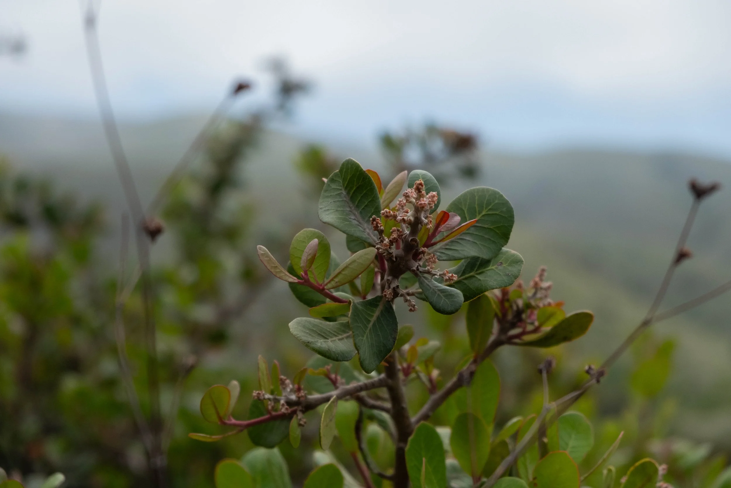 DSCF9574.jpg