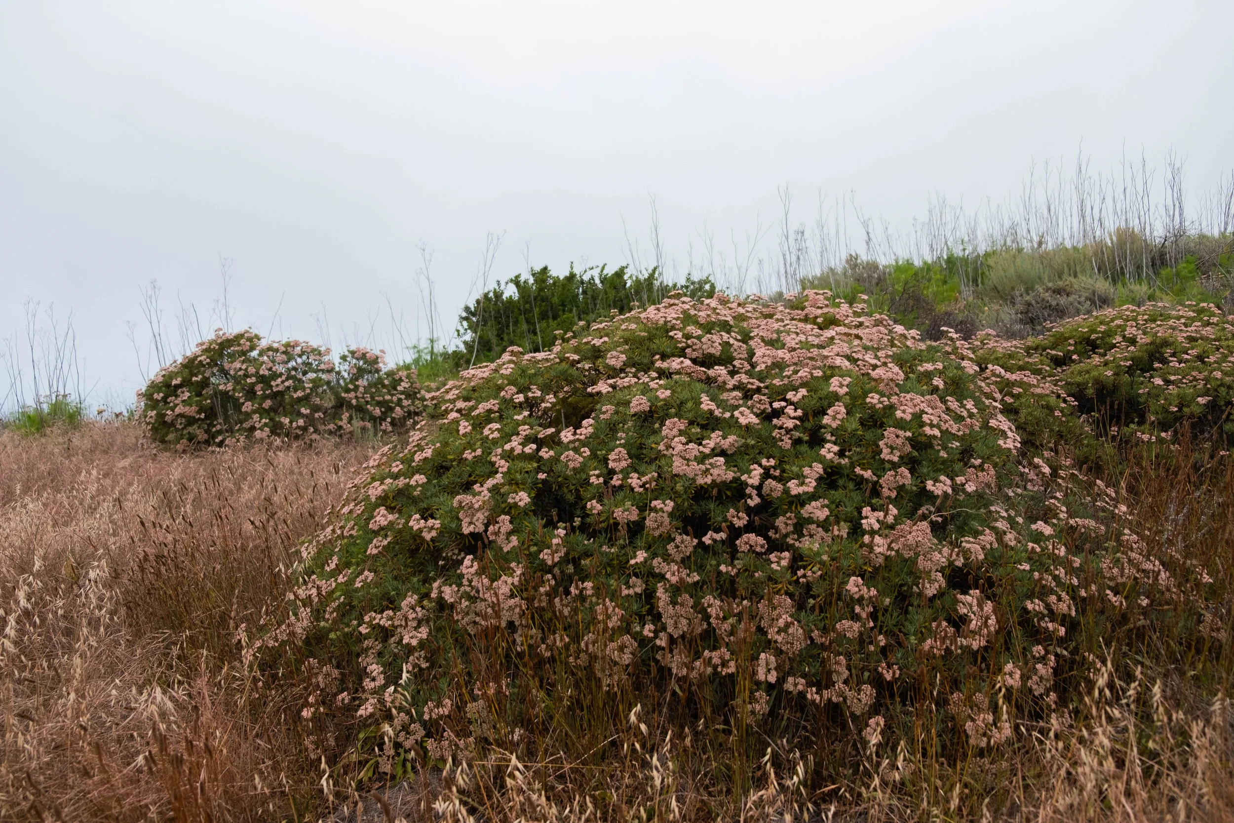 DSCF9577.jpg