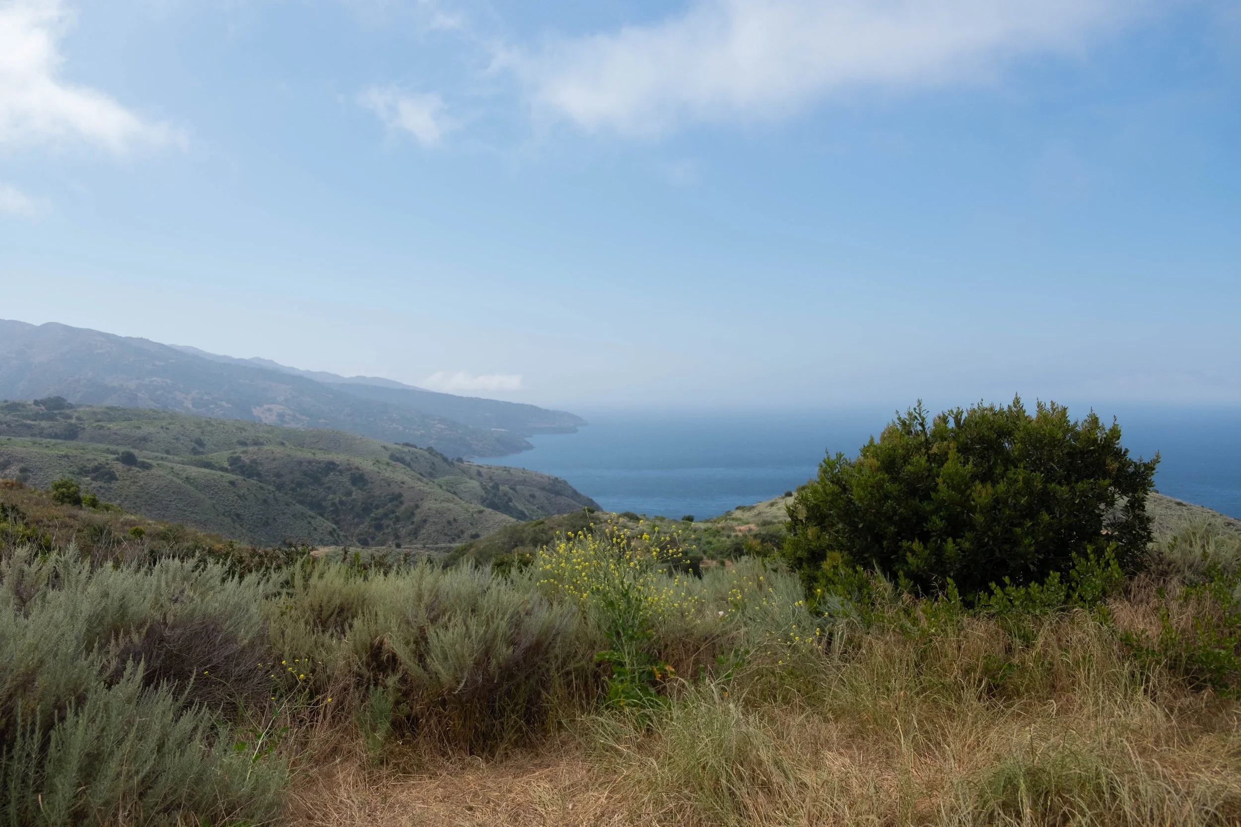 DSCF9580.jpg