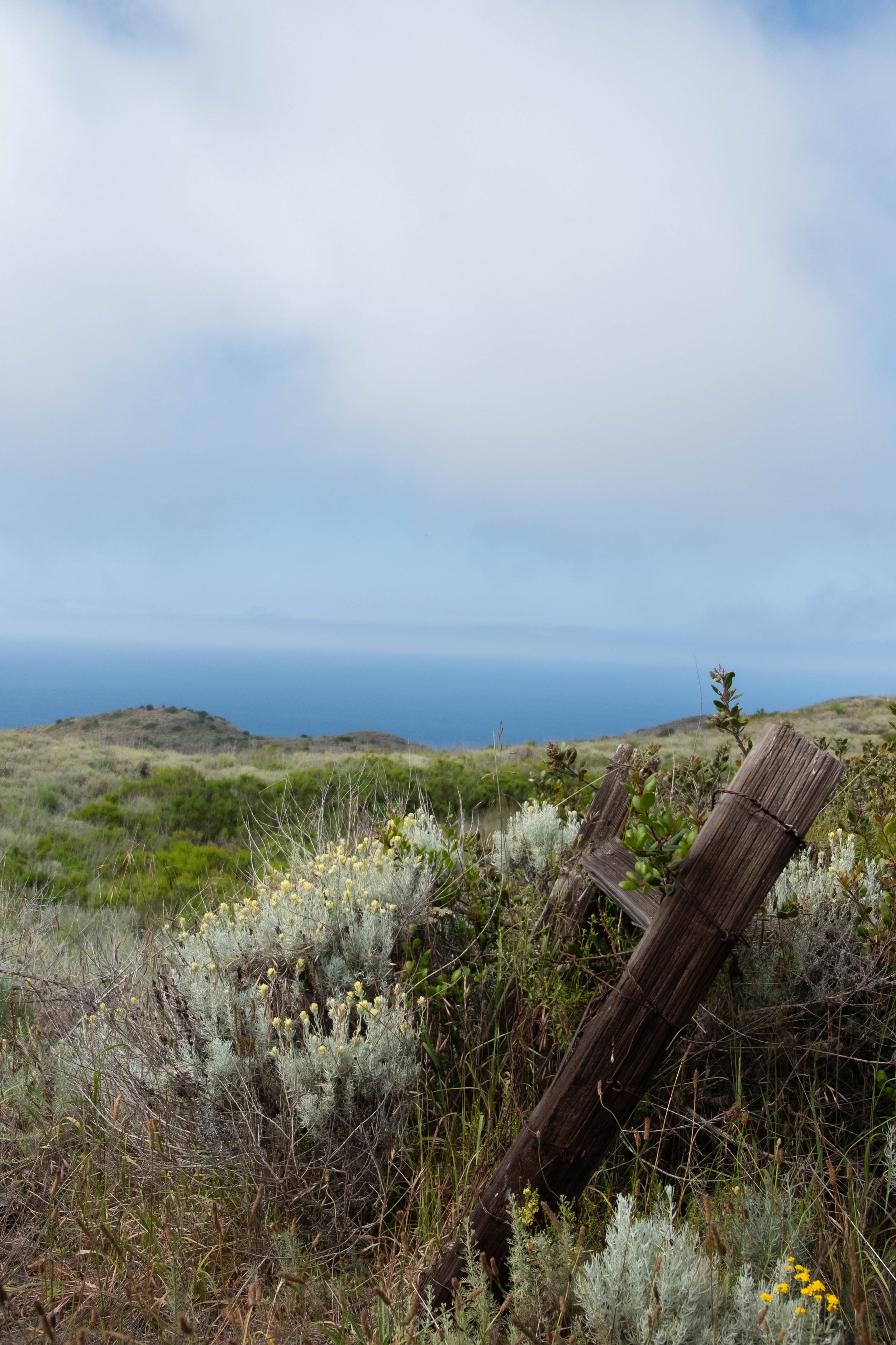 DSCF9583.jpg