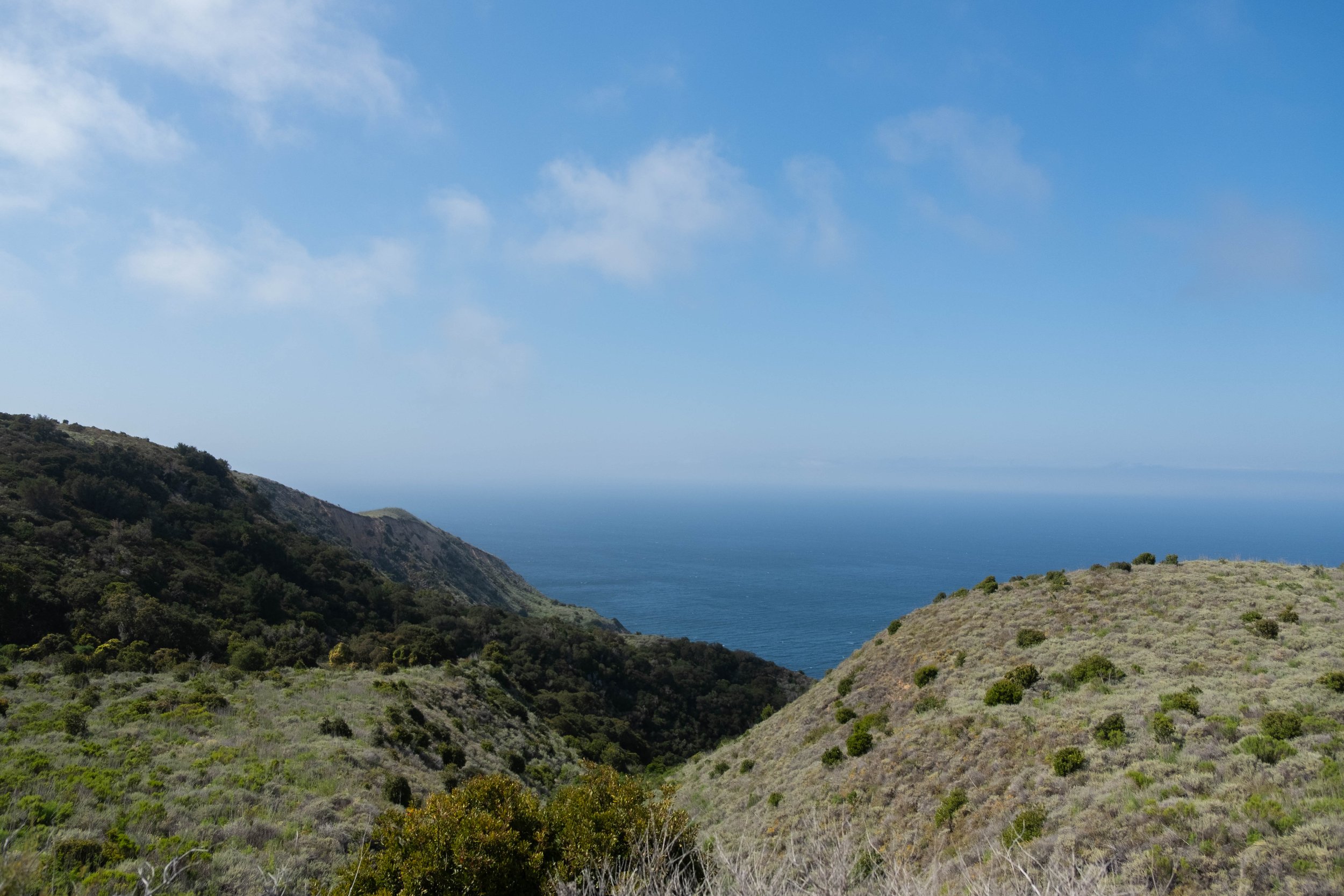 DSCF9585.jpg