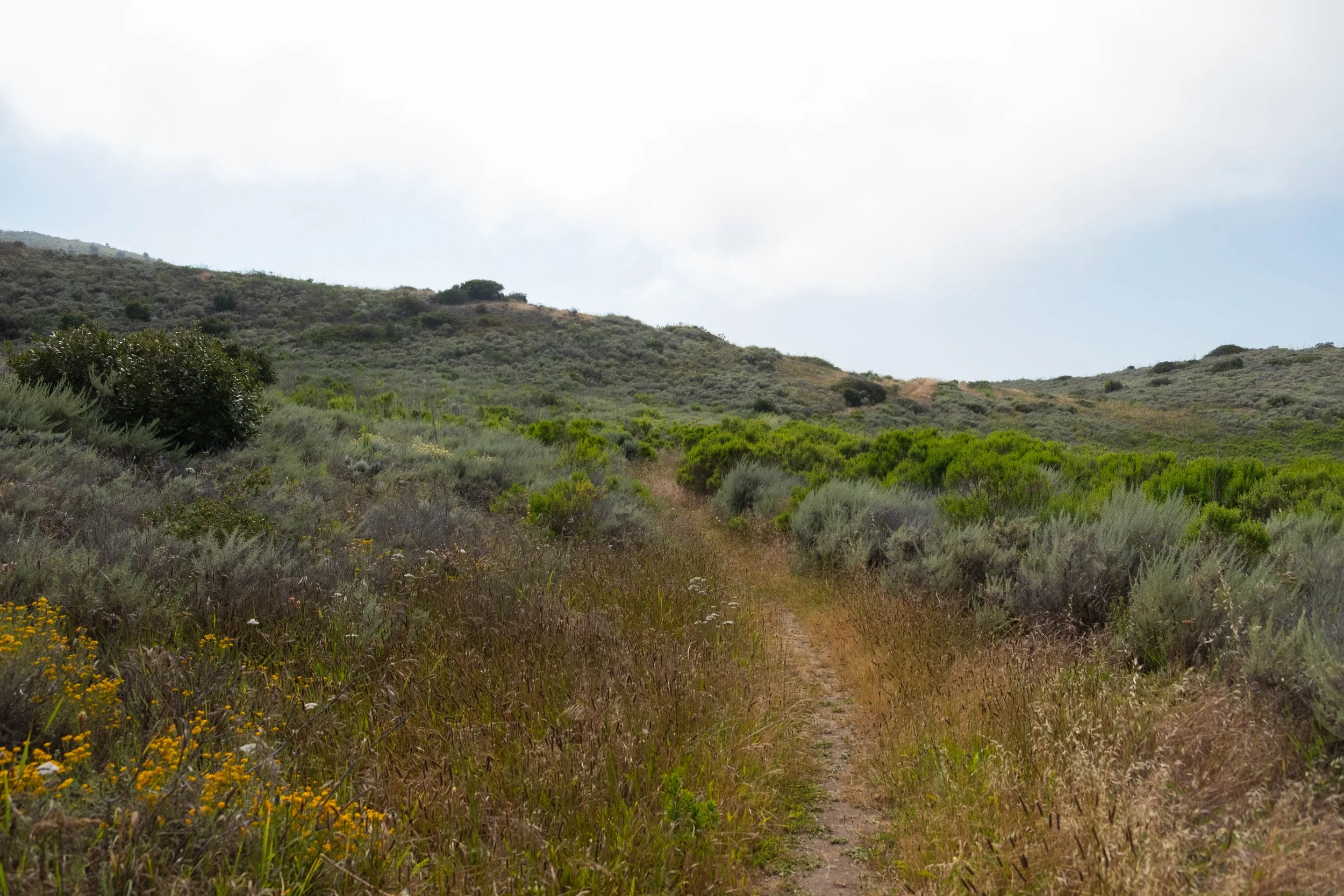 DSCF9587.jpg