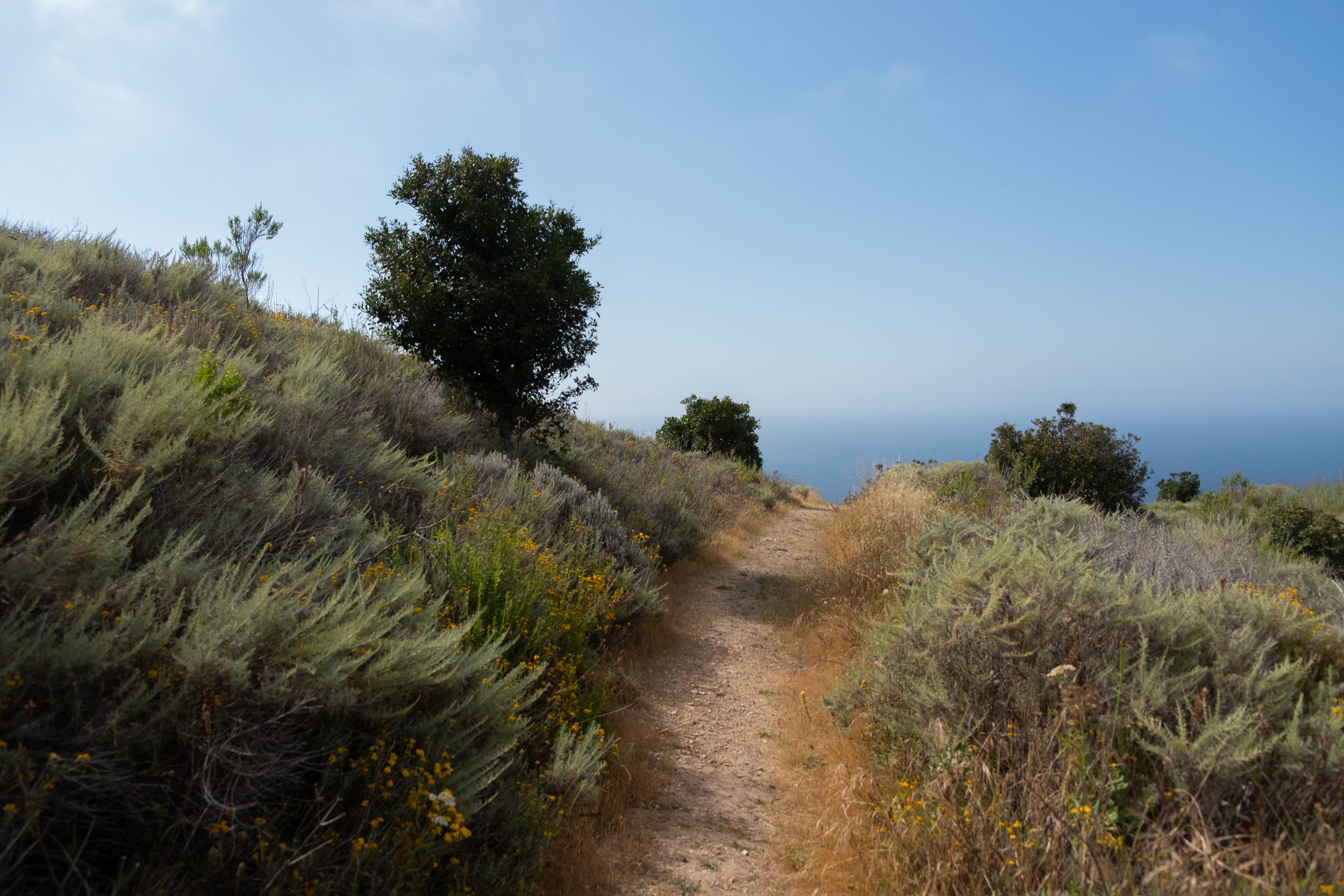 DSCF9588.jpg