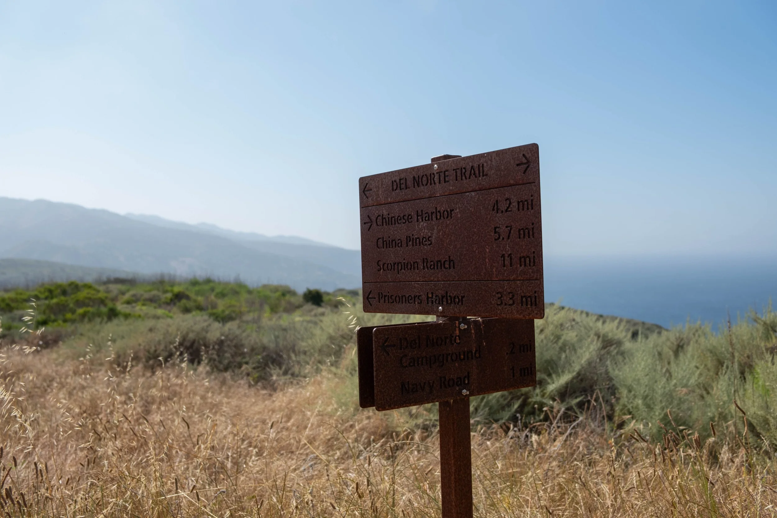 DSCF9589.jpg