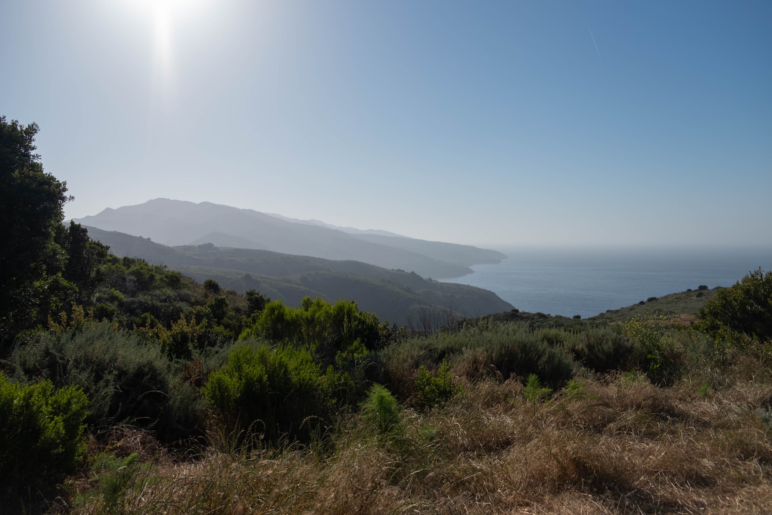 DSCF9592.jpg