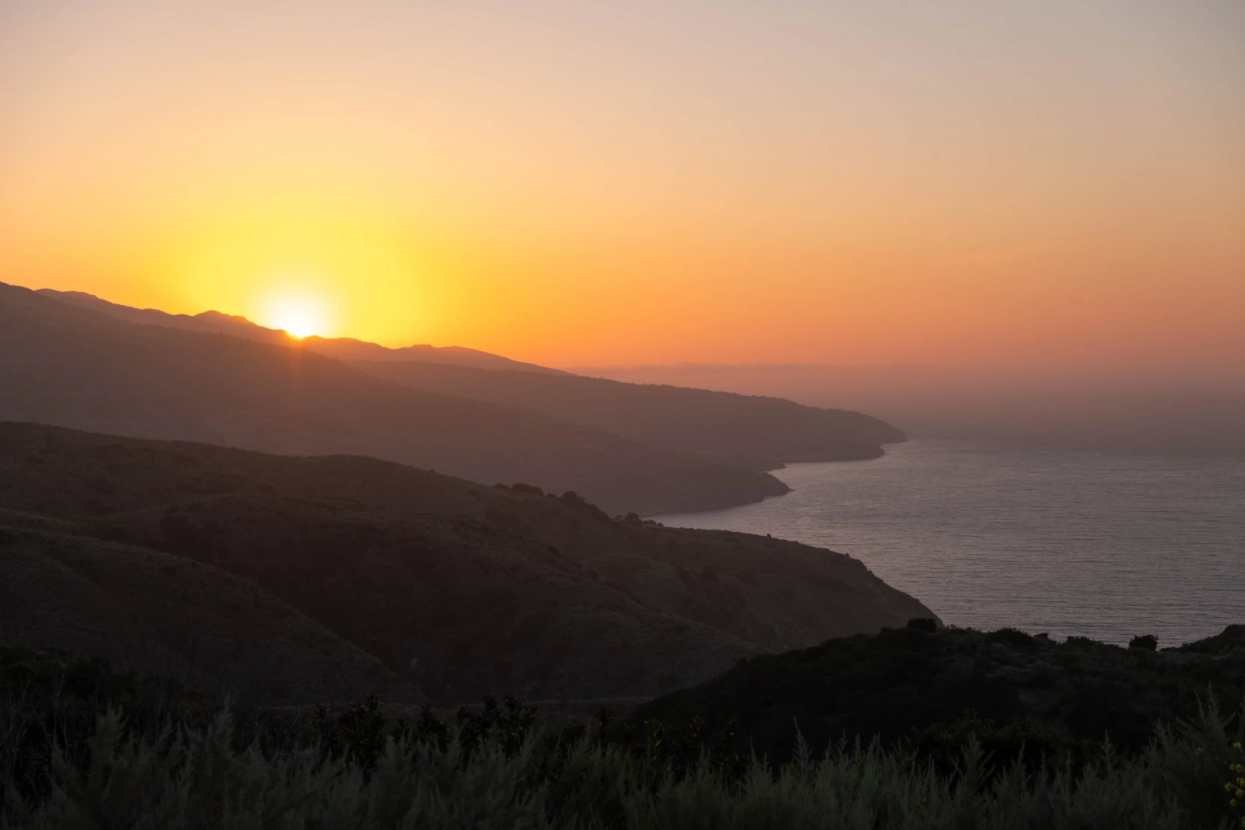 DSCF9646.jpg