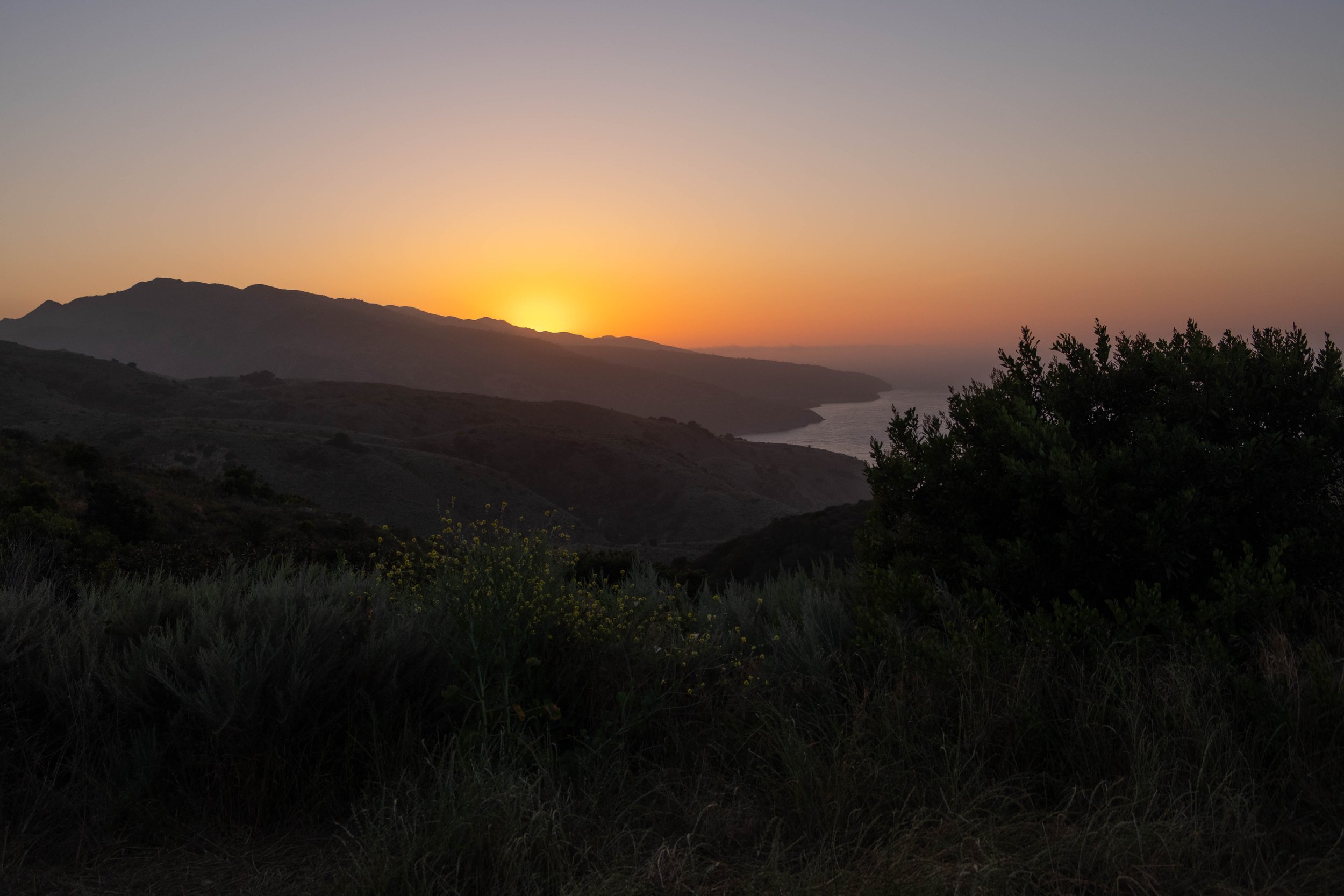DSCF9652.jpg