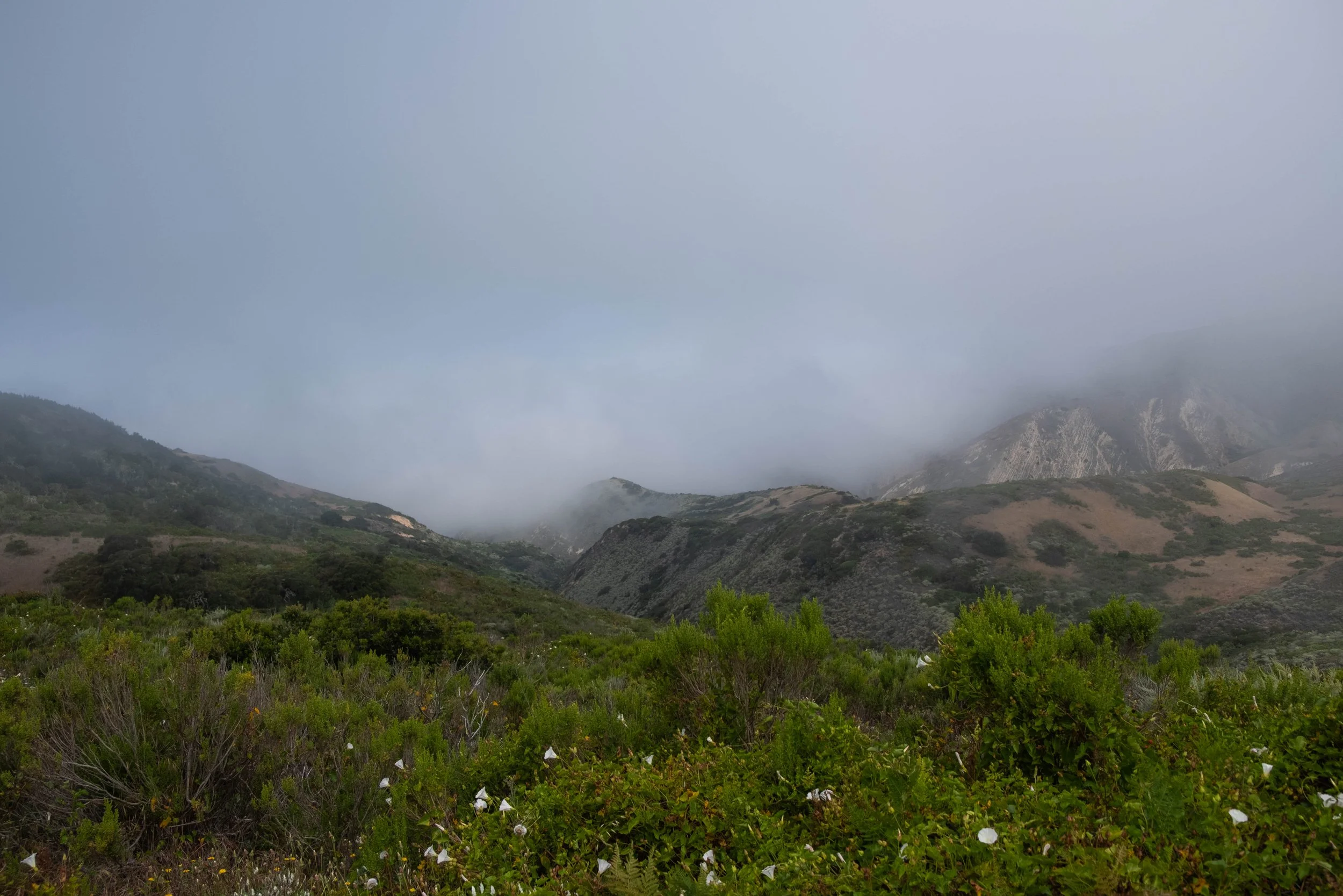 DSCF9681.jpg