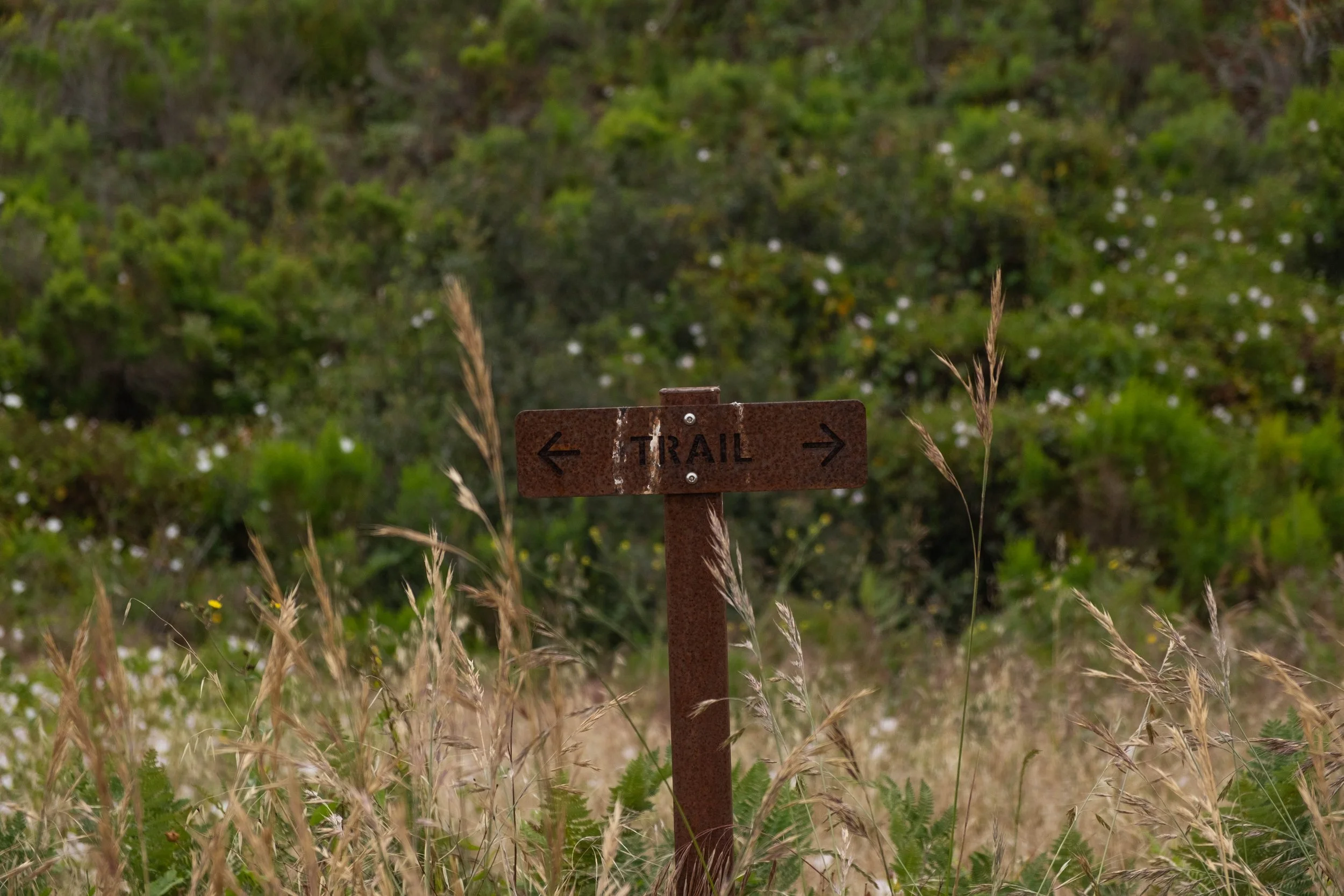 DSCF9683.jpg