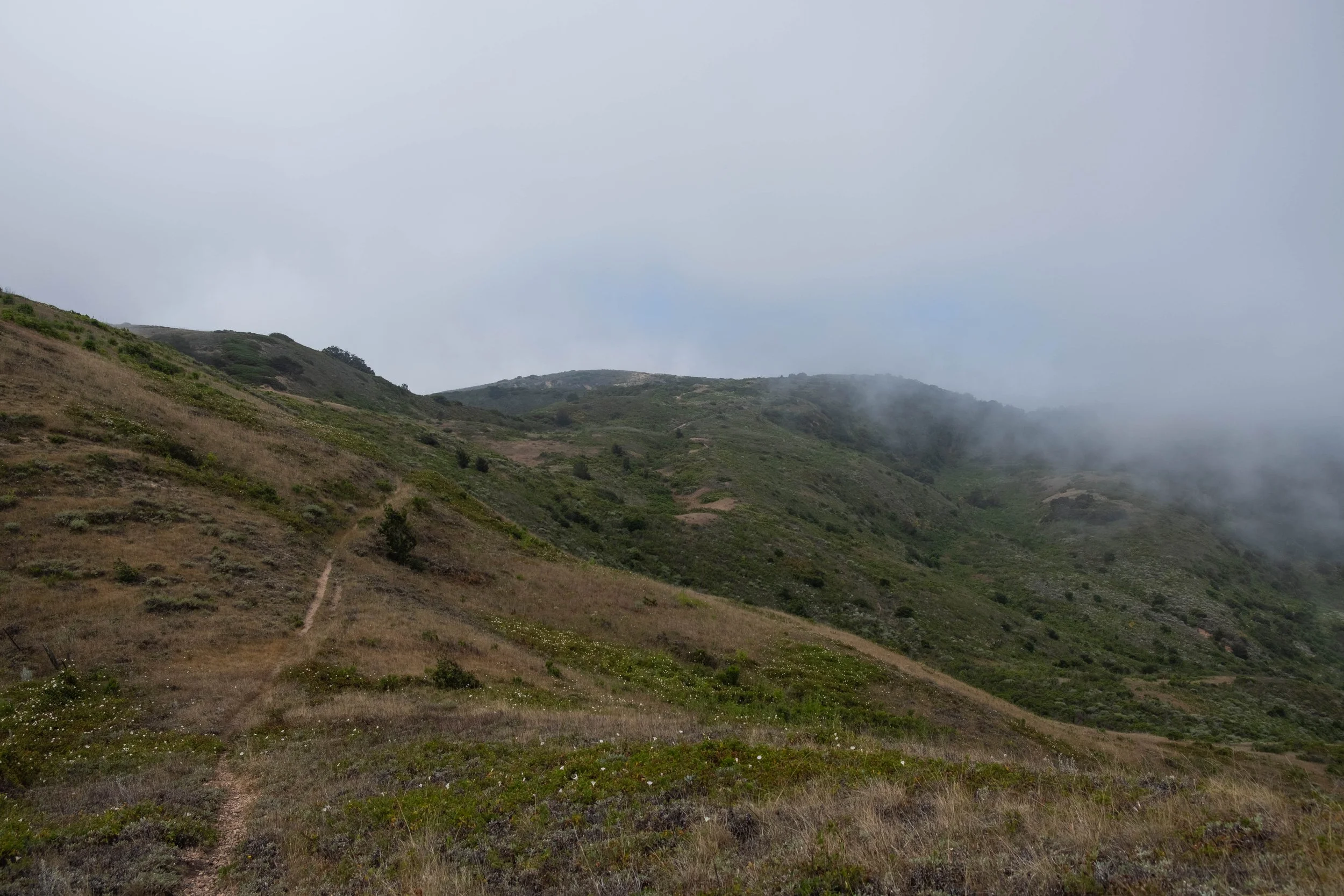 DSCF9684.jpg