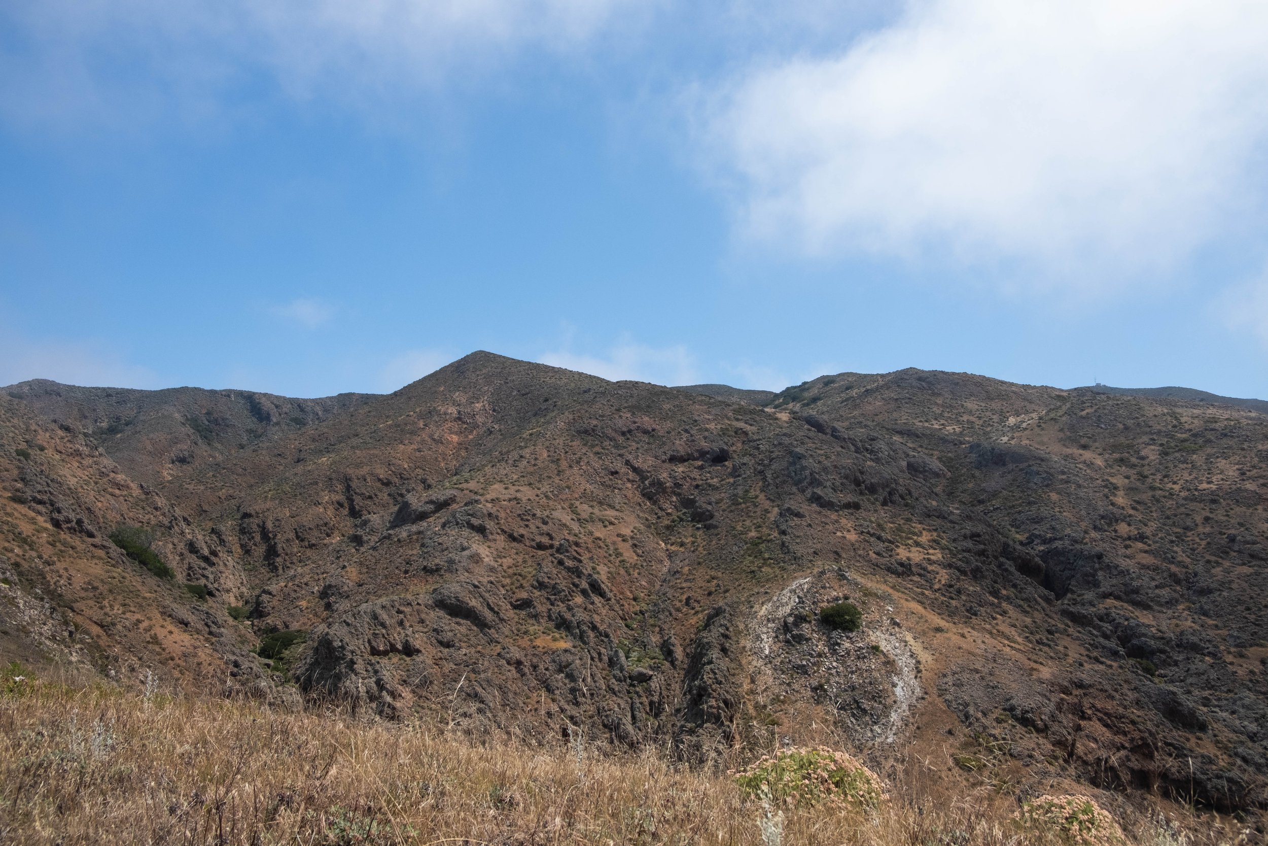 DSCF9691.jpg