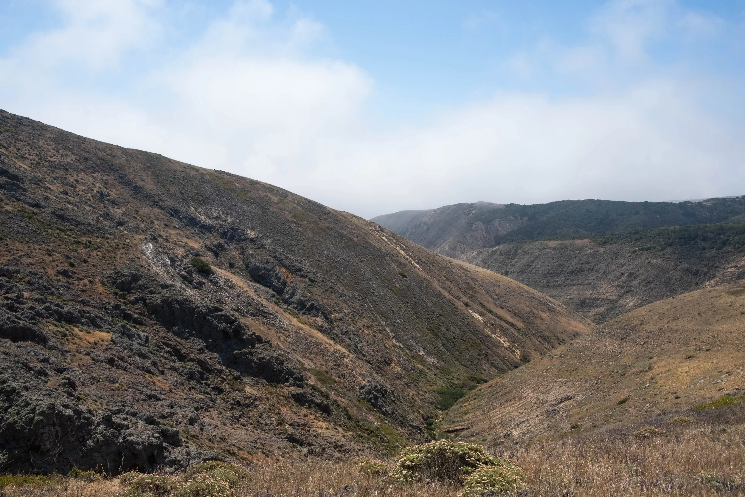 DSCF9695.jpg