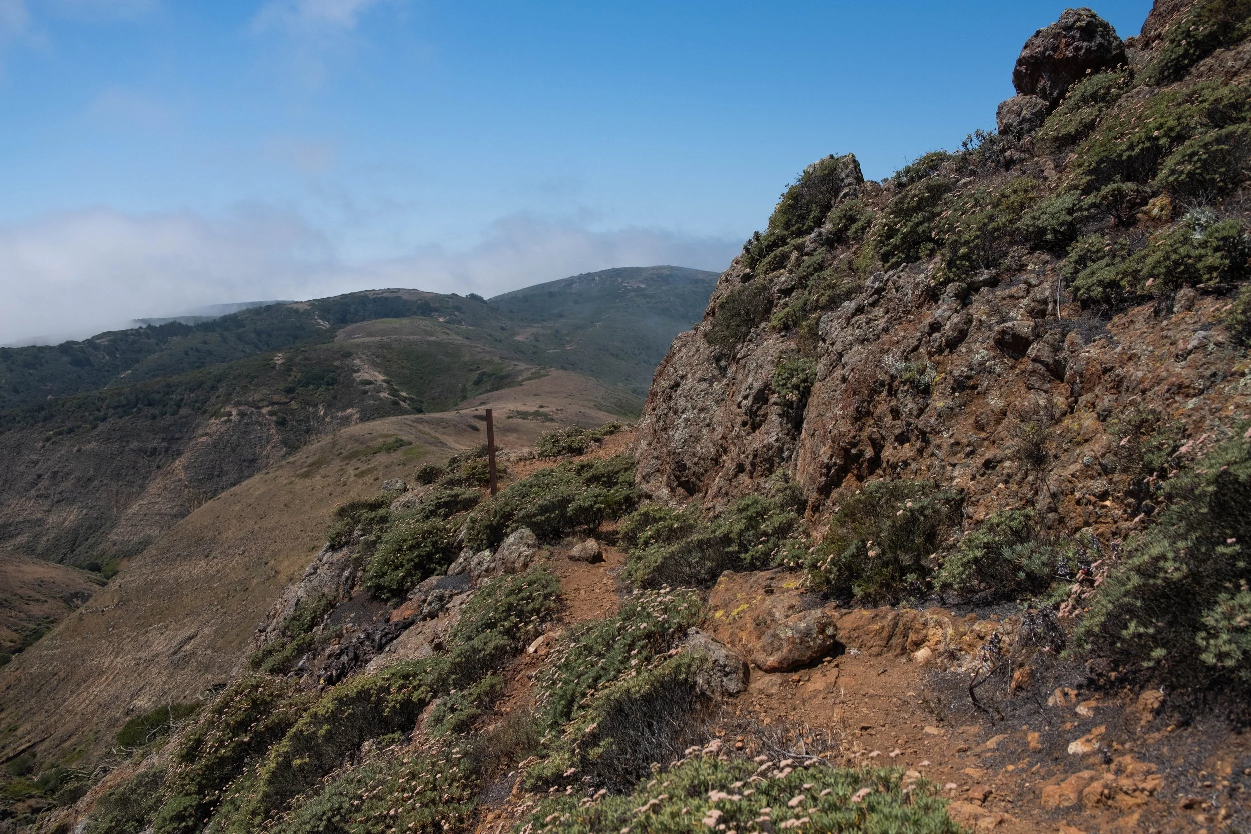 DSCF9700.jpg