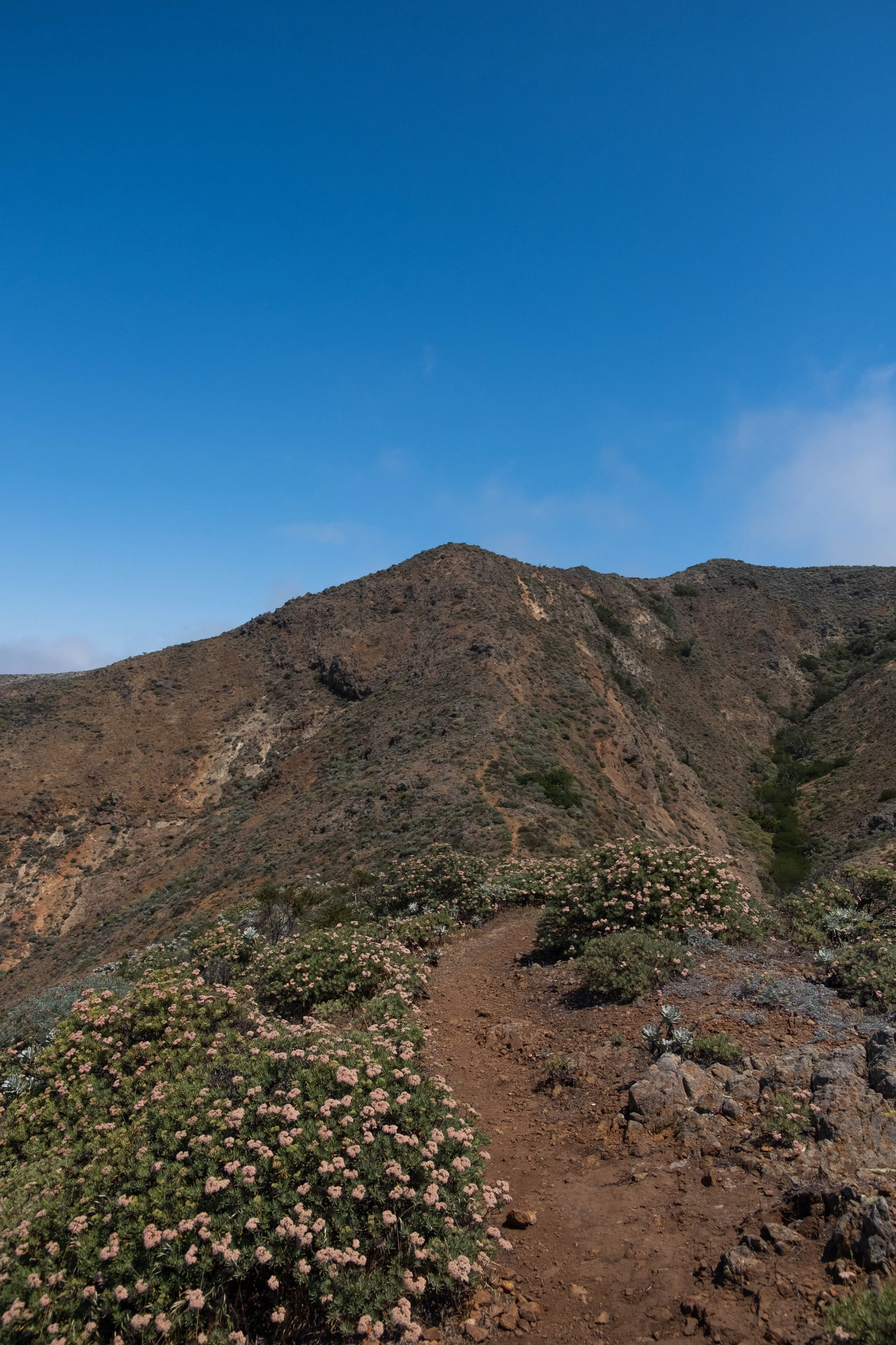 DSCF9705.jpg