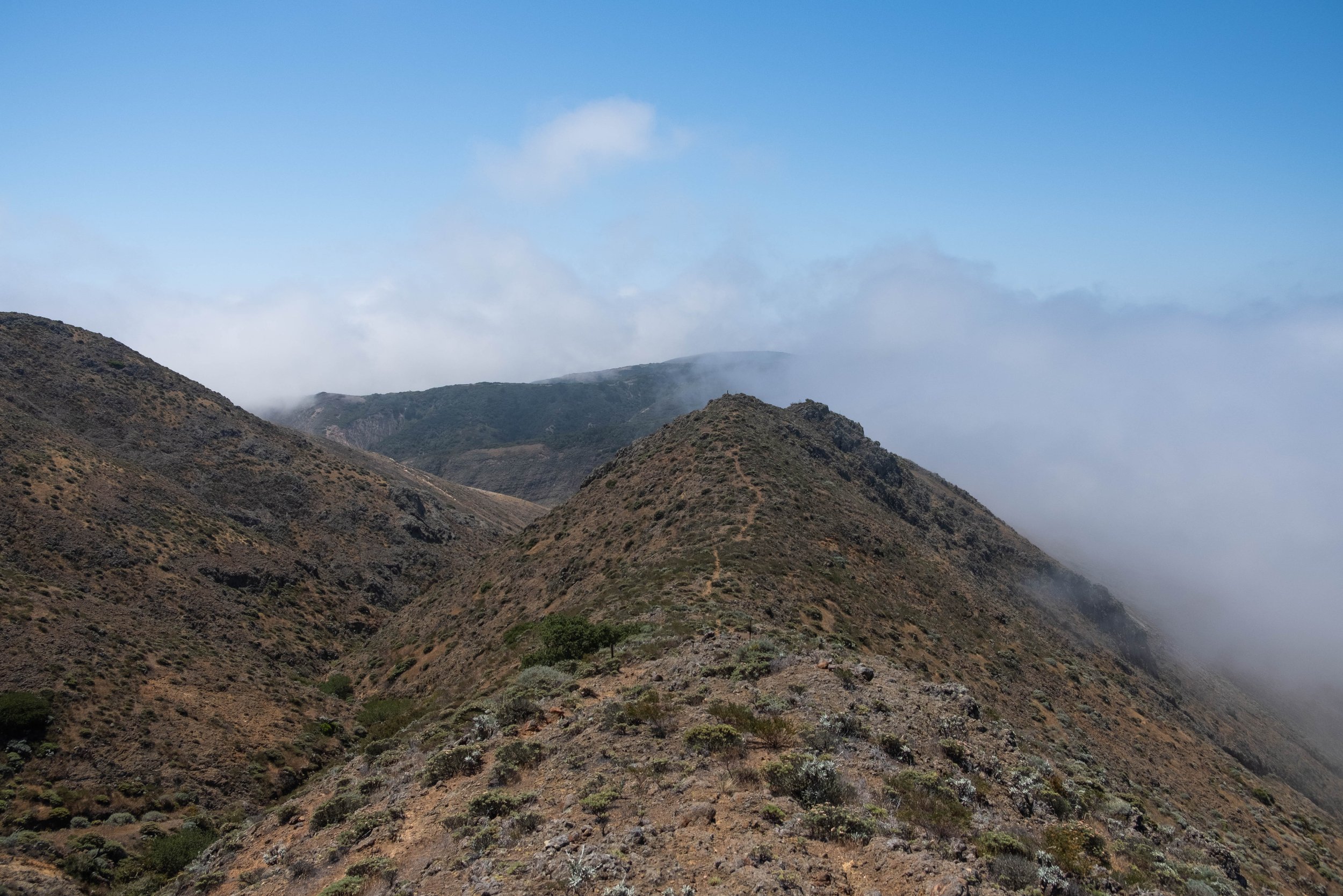 DSCF9707.jpg