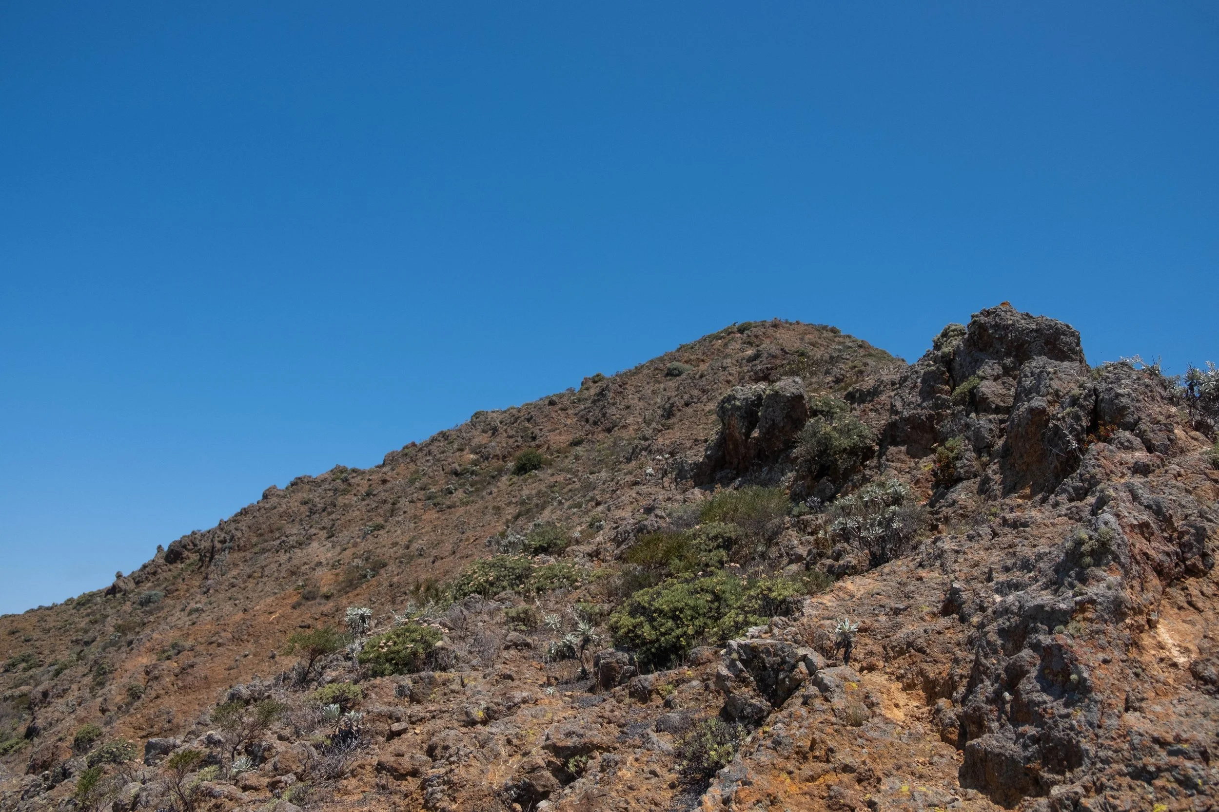 DSCF9708.jpg