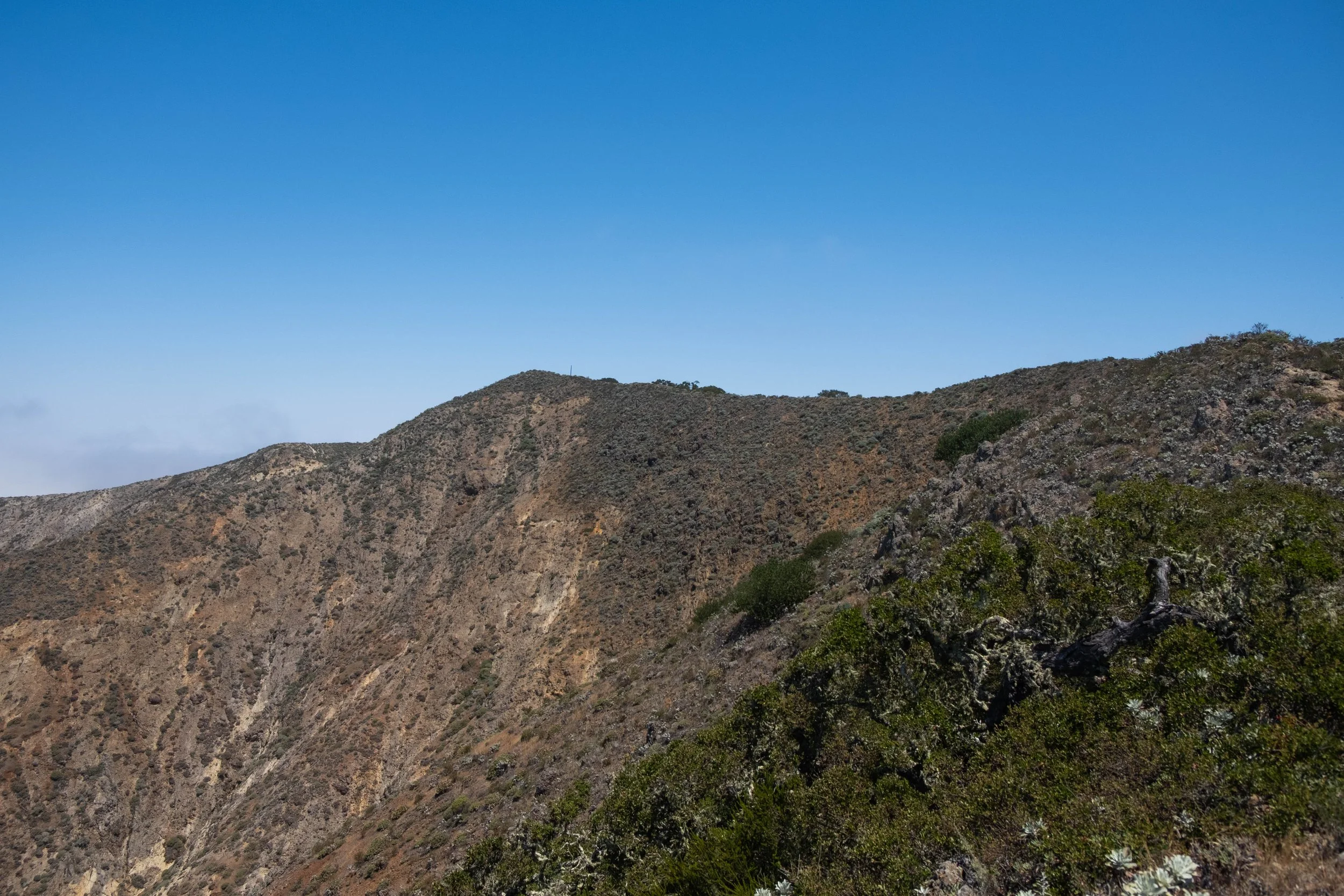 DSCF9710.jpg
