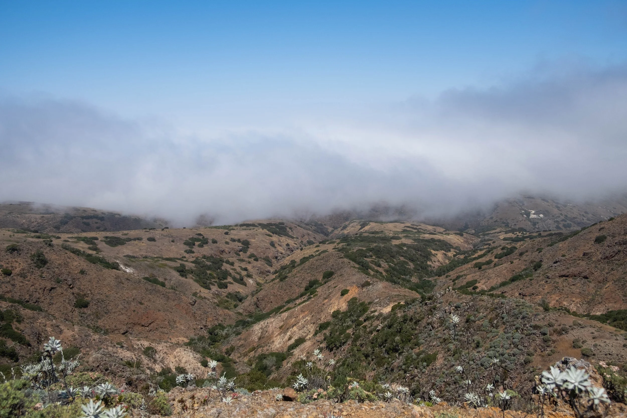 DSCF9714.jpg