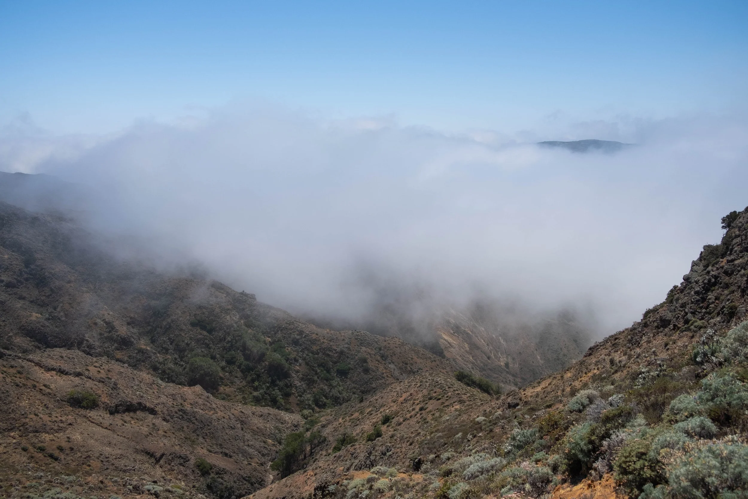 DSCF9718.jpg