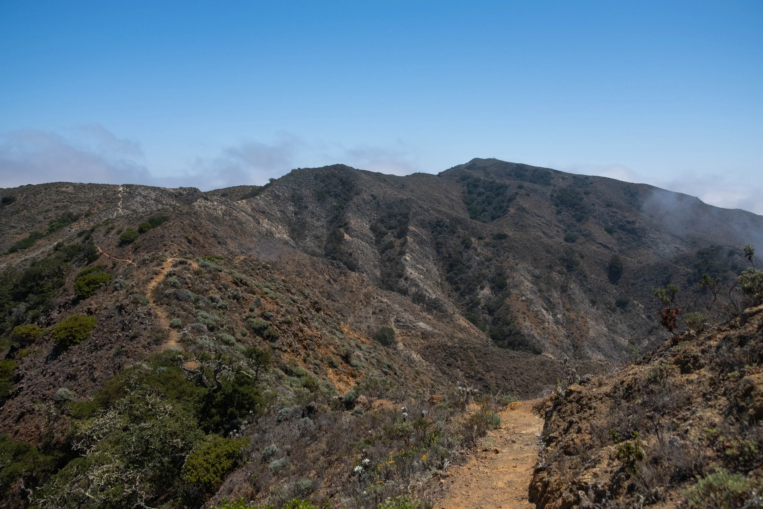 DSCF9719.jpg