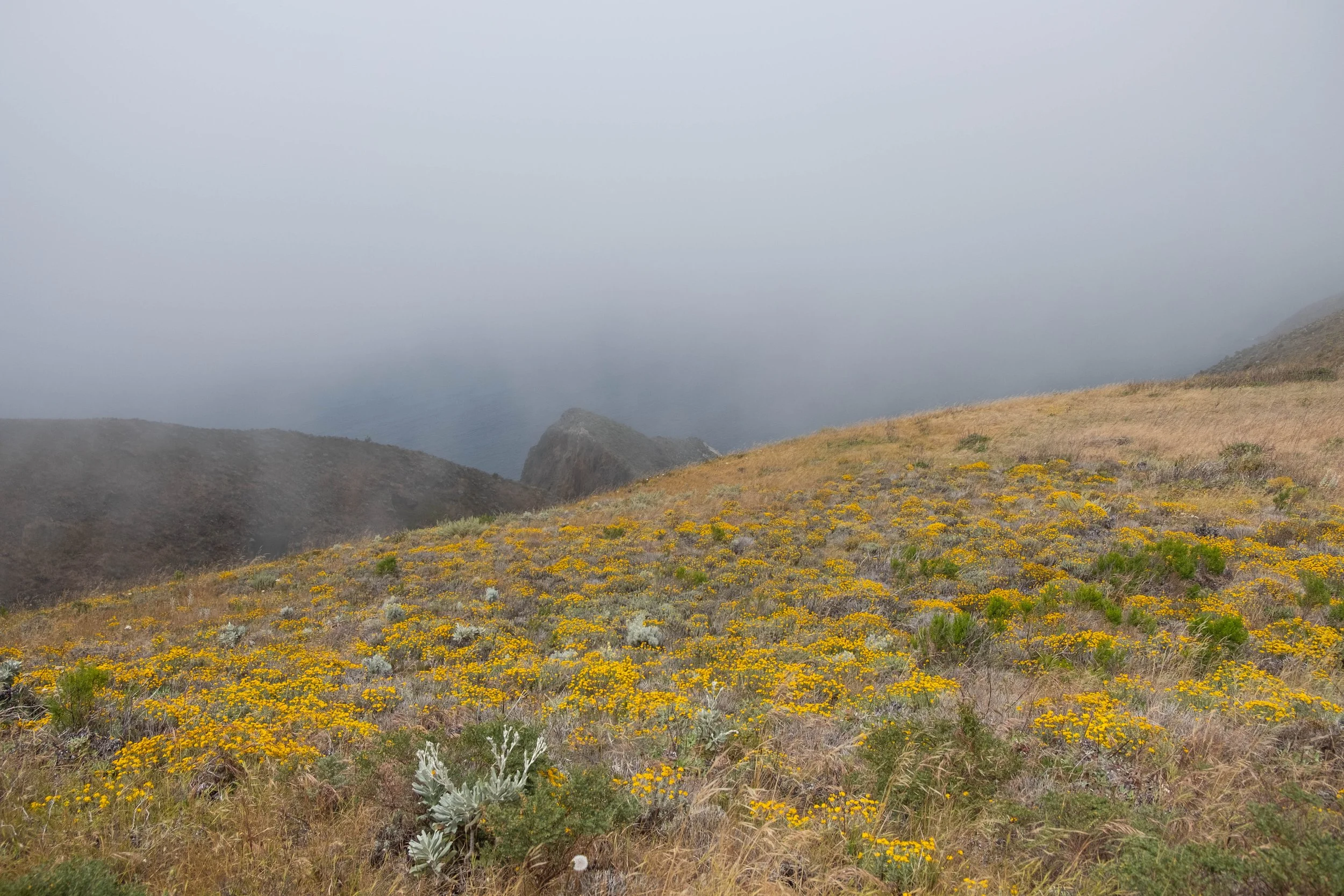 DSCF9727.jpg