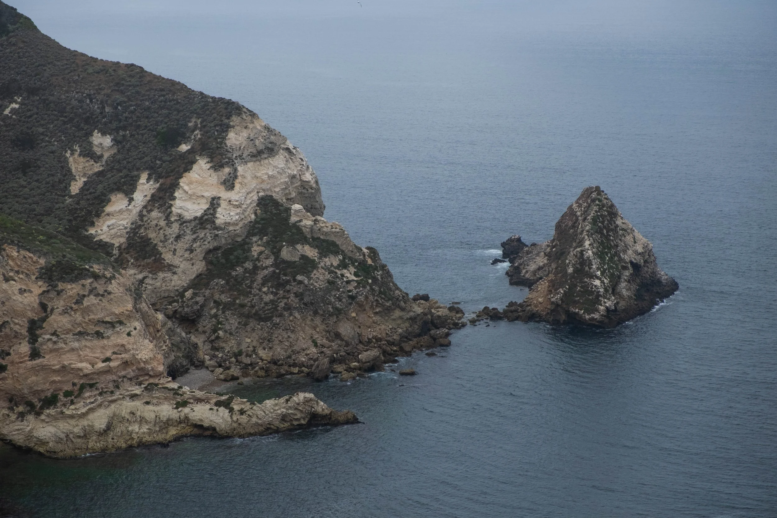 DSCF9731.jpg