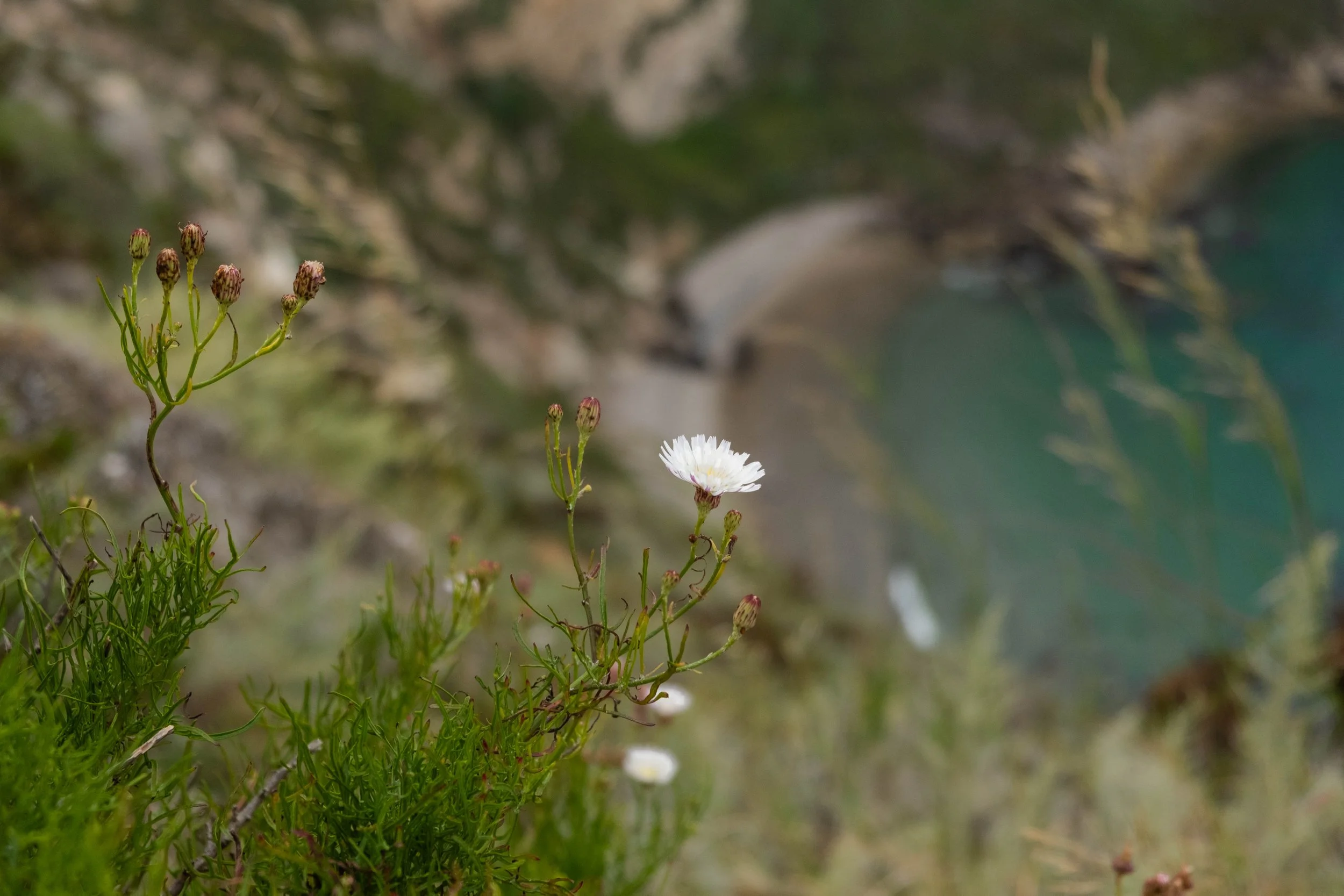 DSCF9739.jpg