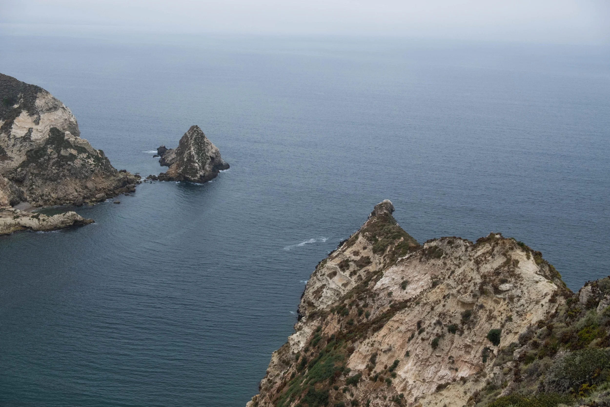 DSCF9746.jpg