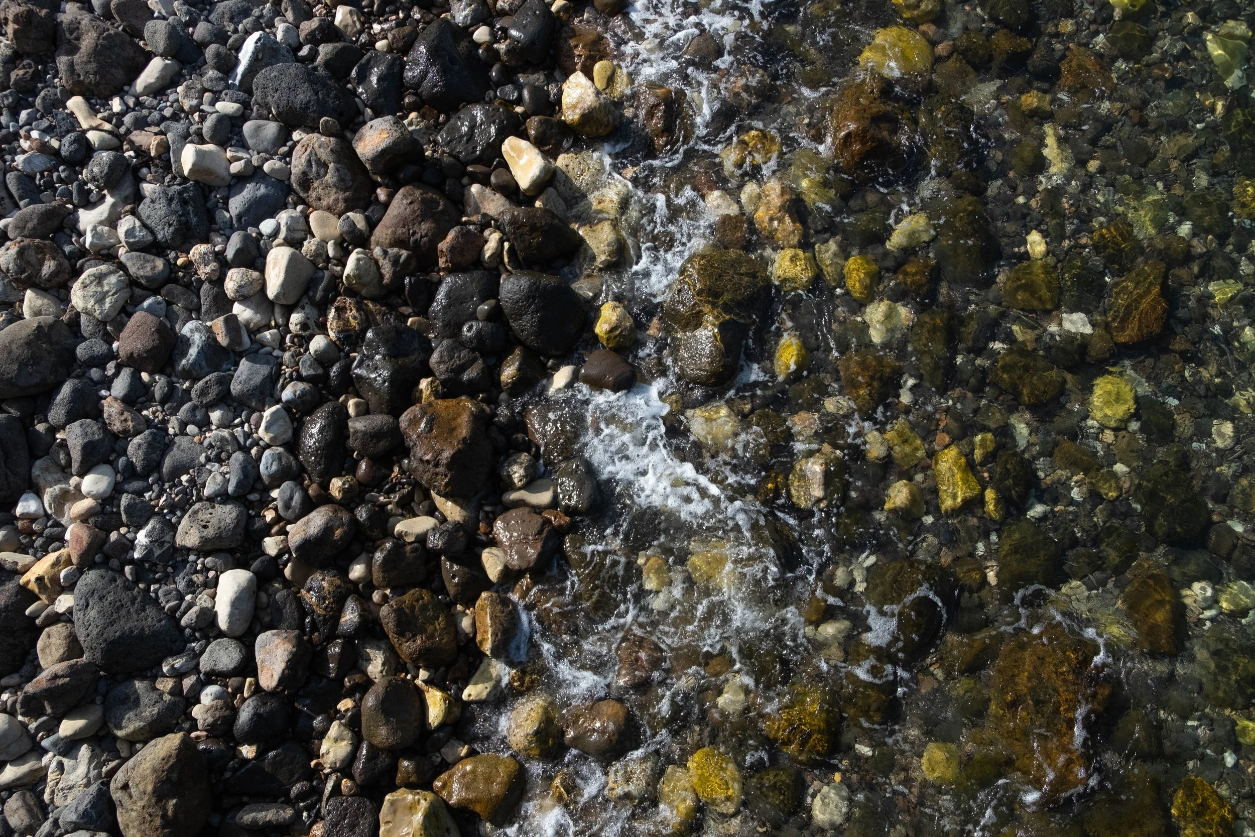 DSCF9752.jpg