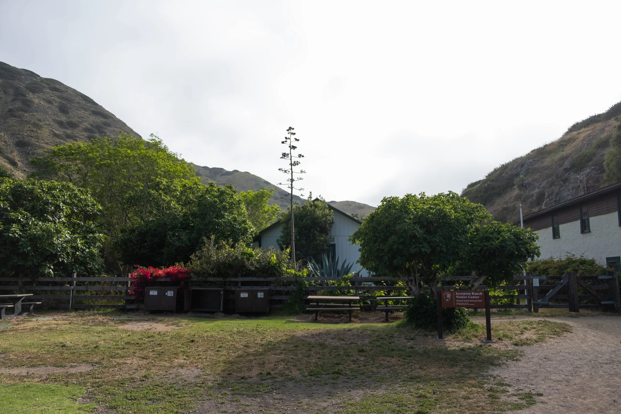 DSCF9769.jpg