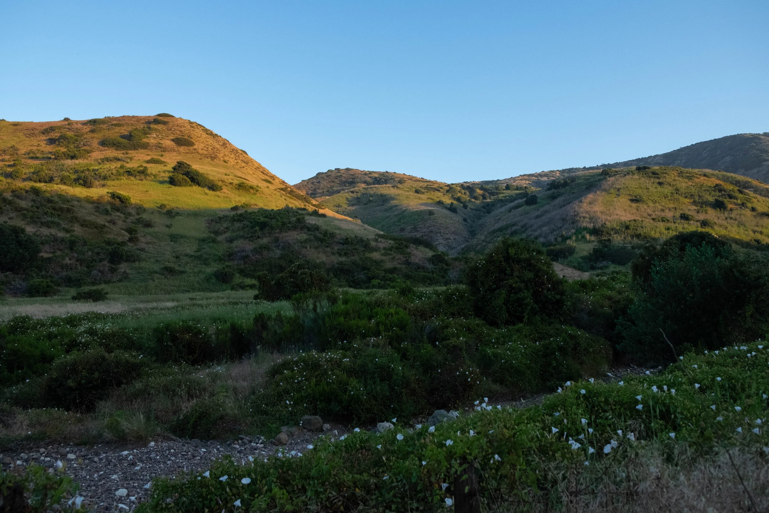 DSCF9779.jpg