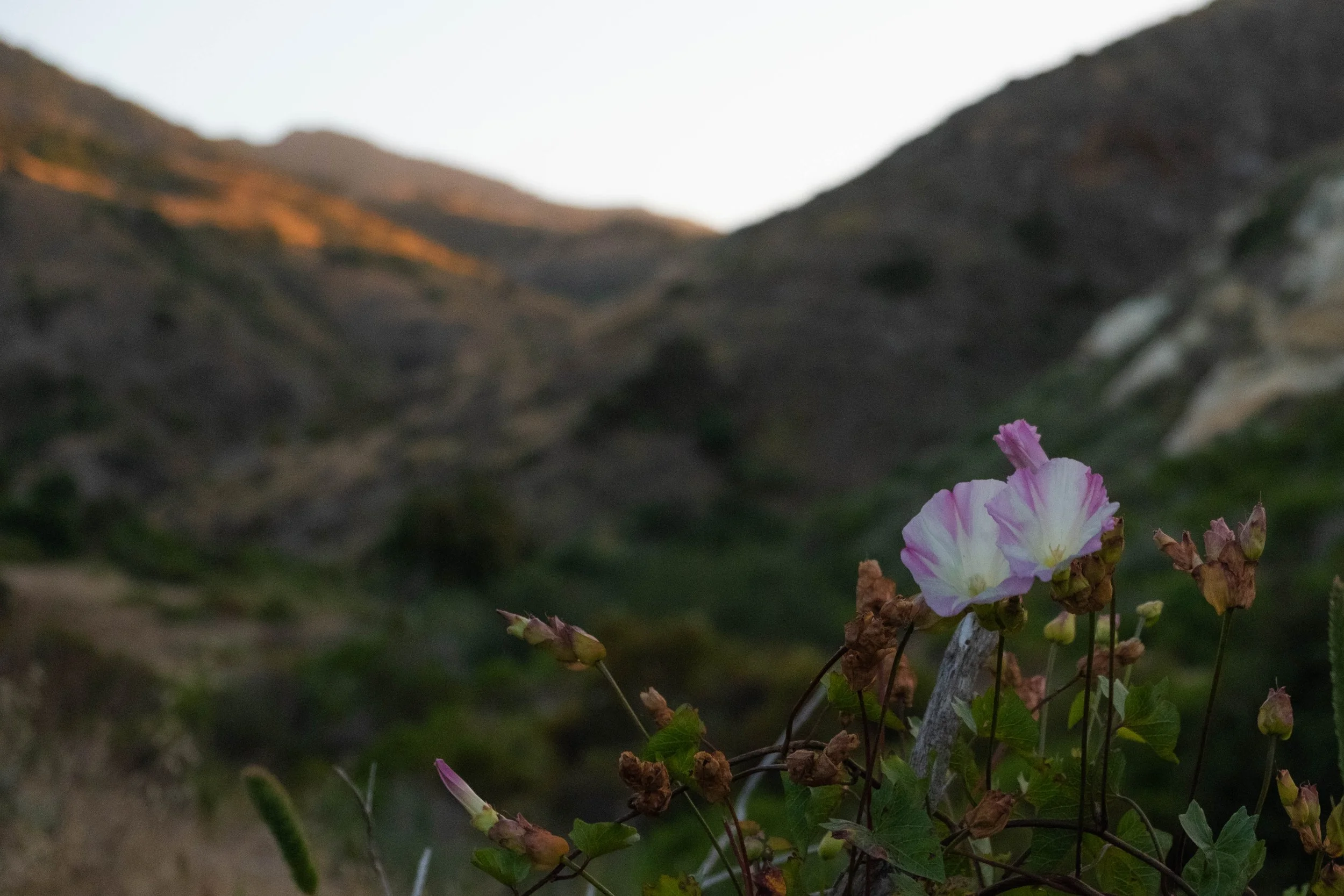DSCF9786.jpg