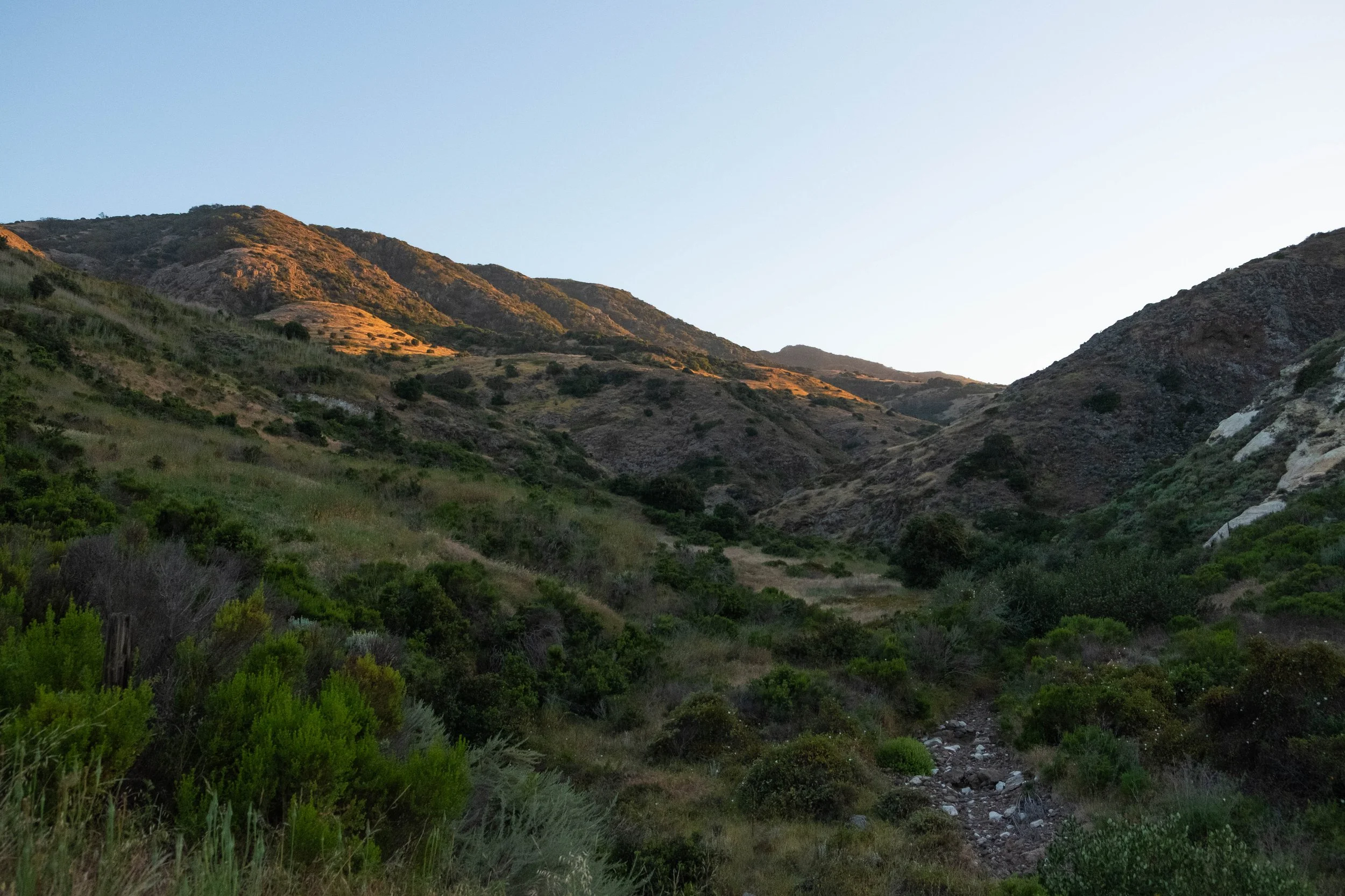 DSCF9788.jpg