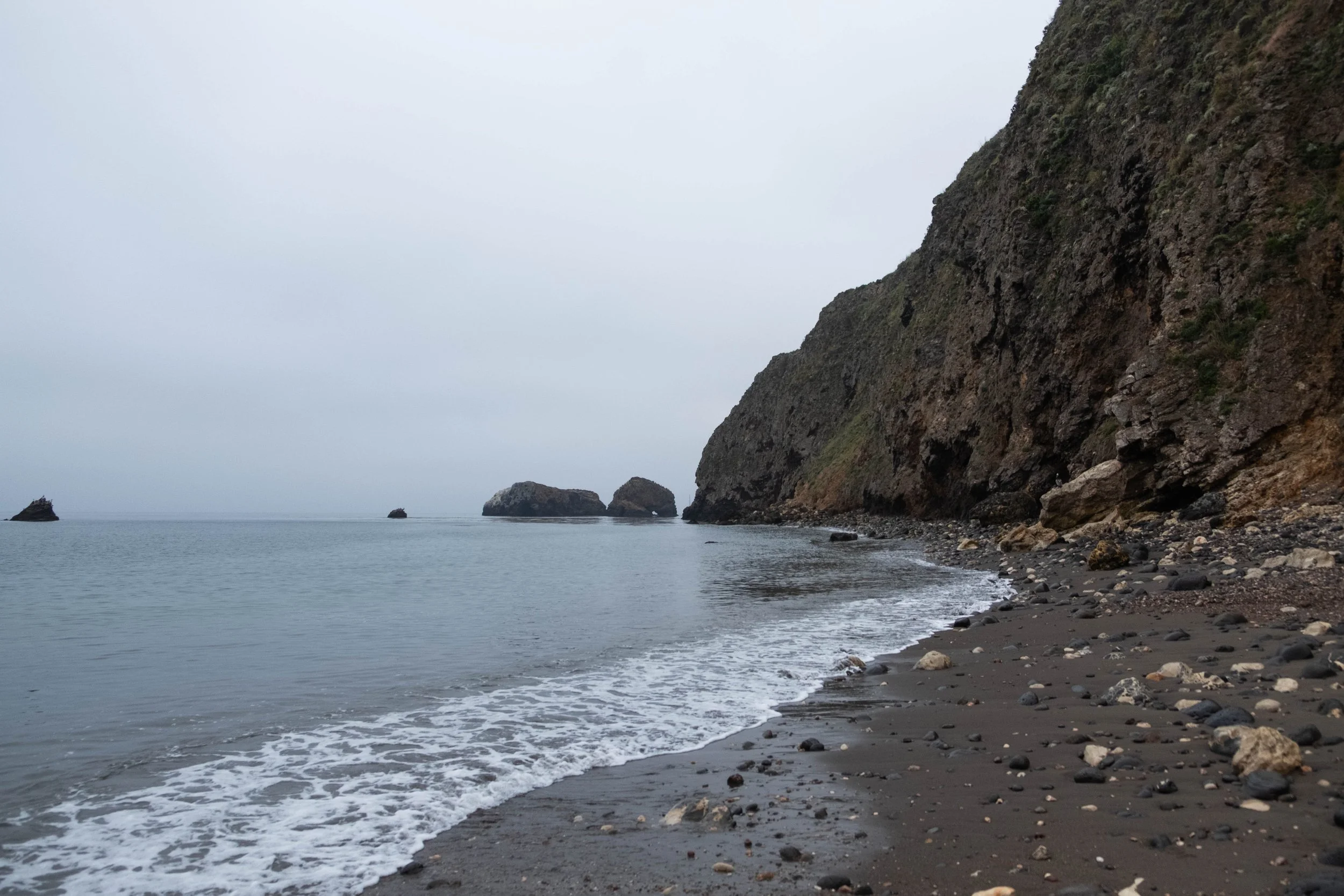 DSCF9799.jpg