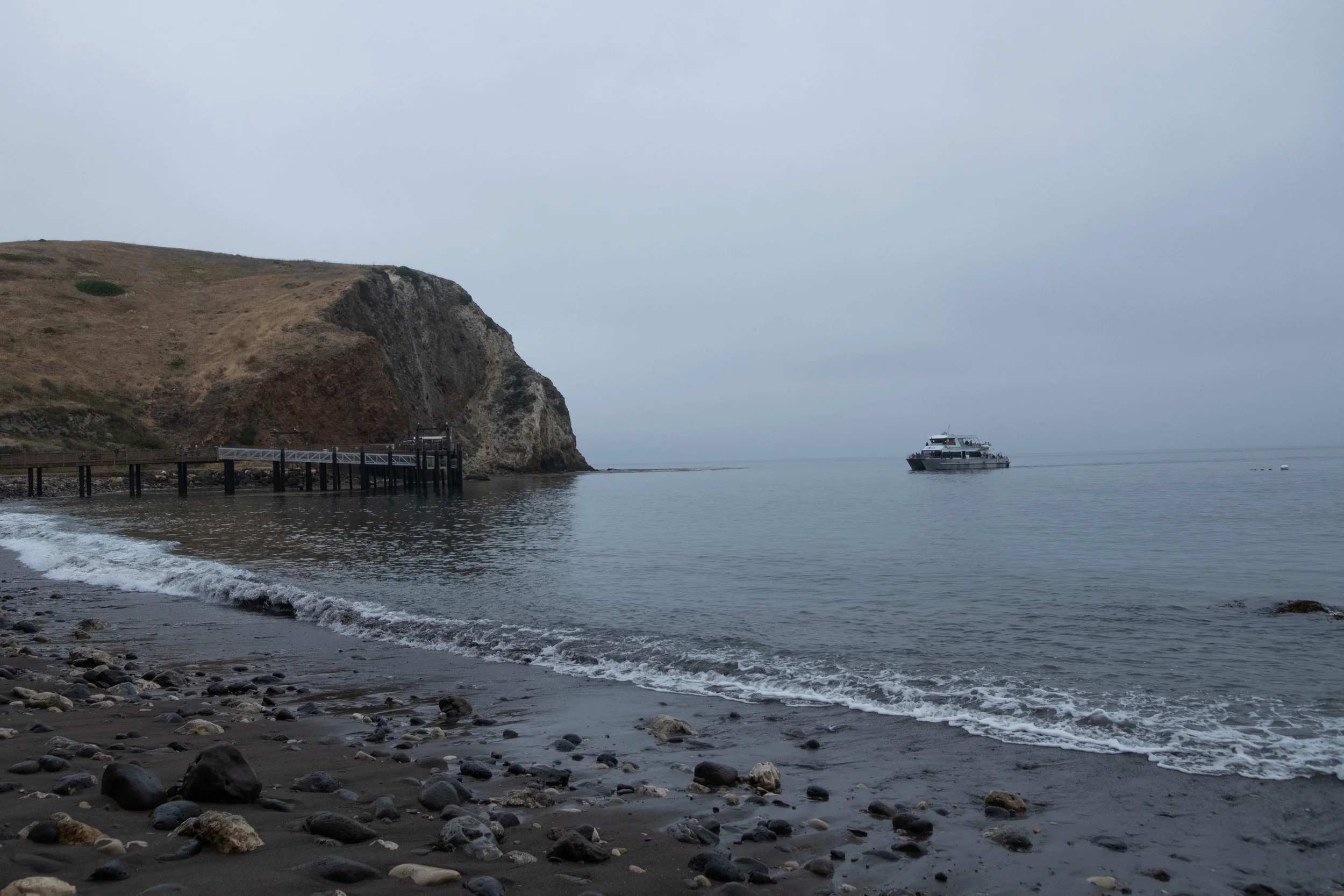DSCF9805.jpg