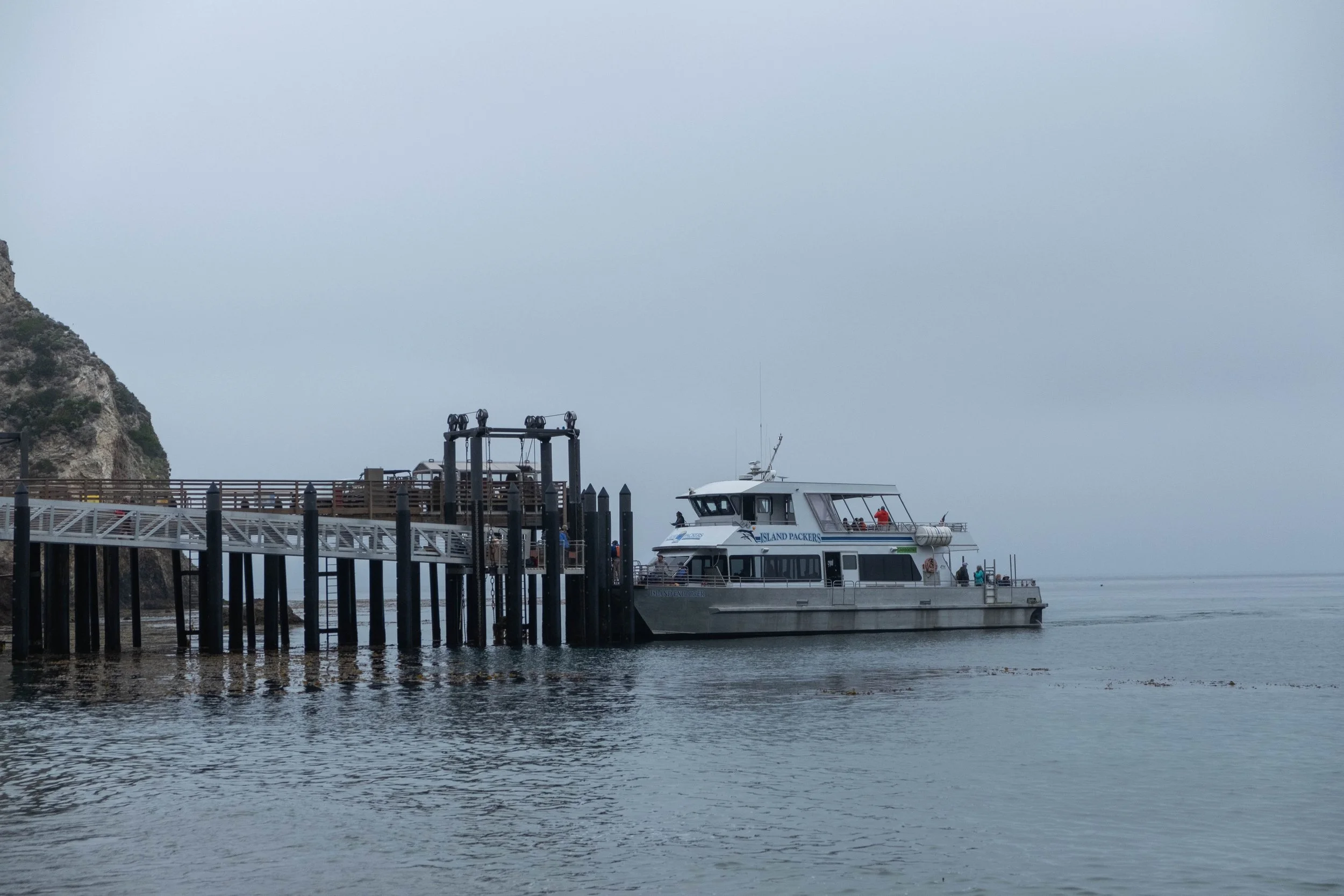 DSCF9807.jpg
