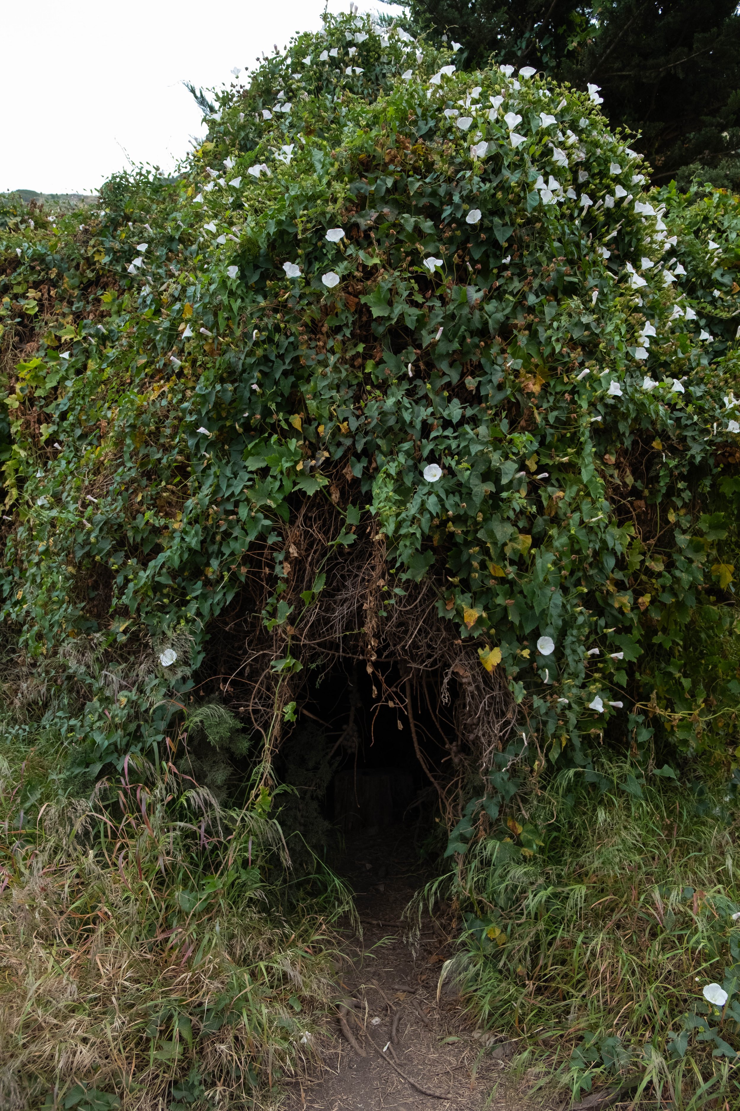 DSCF9814.jpg