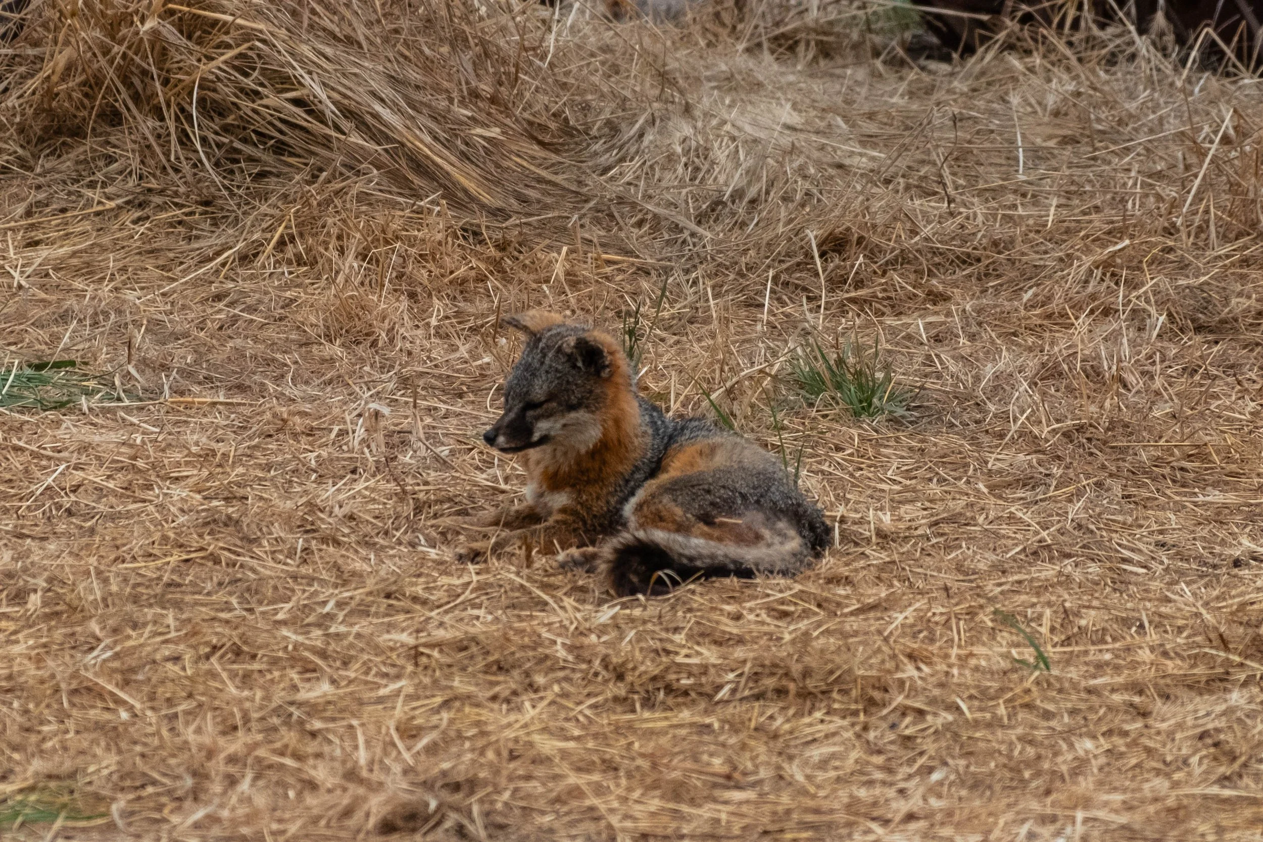 DSCF9818.jpg