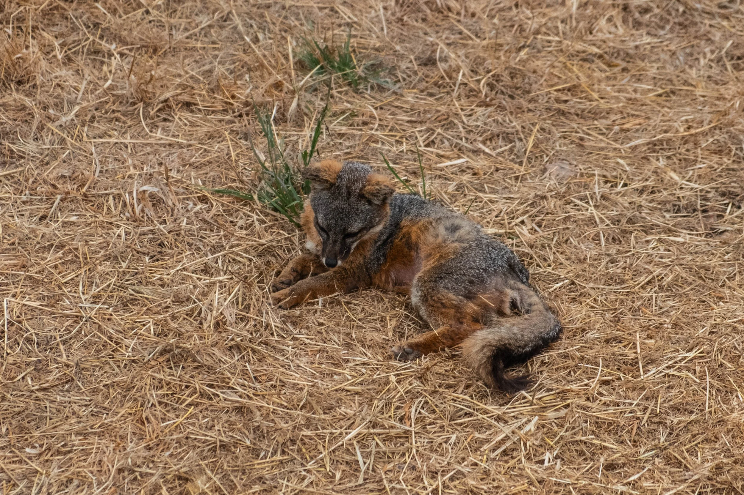 DSCF9821.jpg