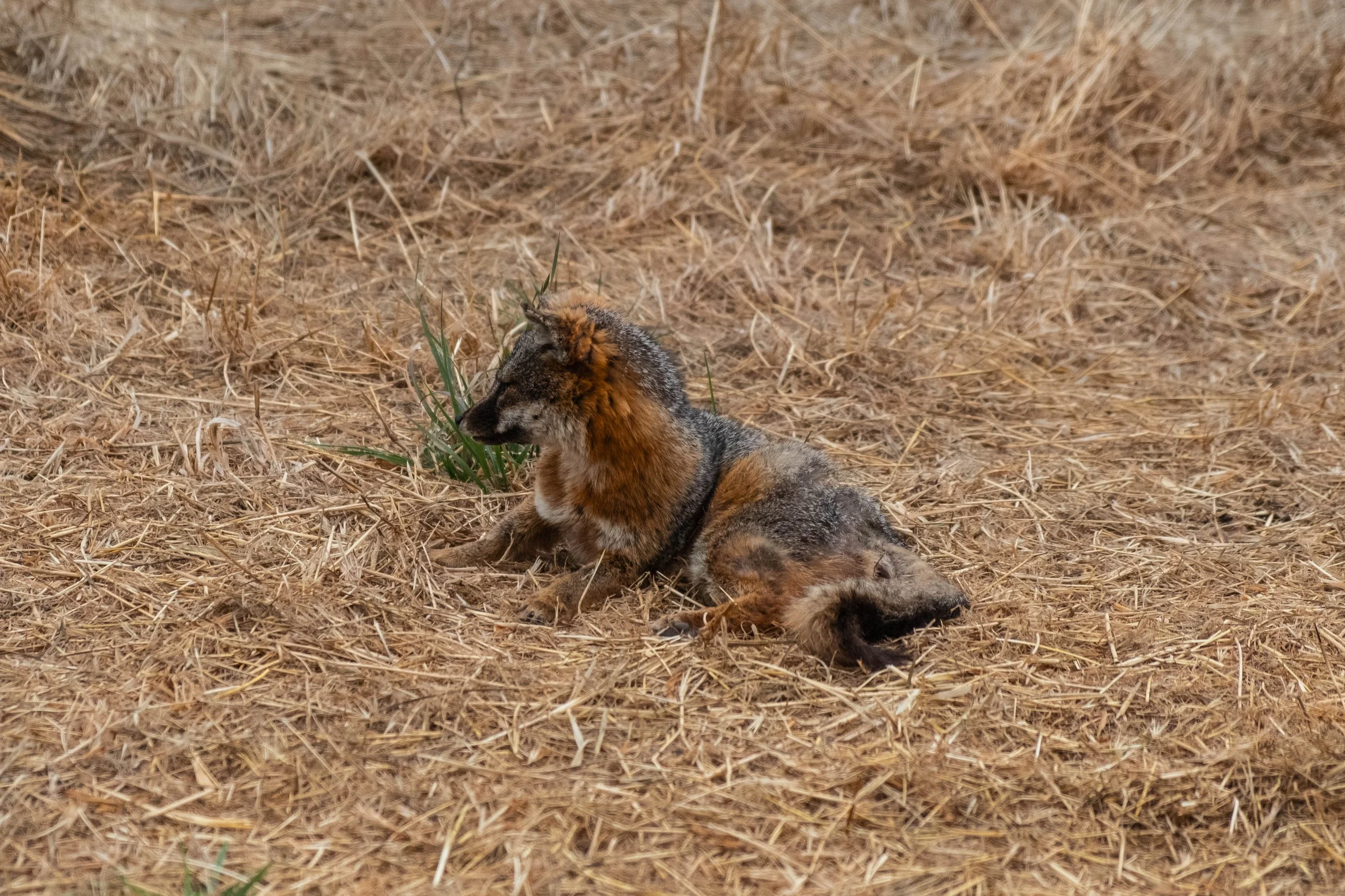 DSCF9824.jpg