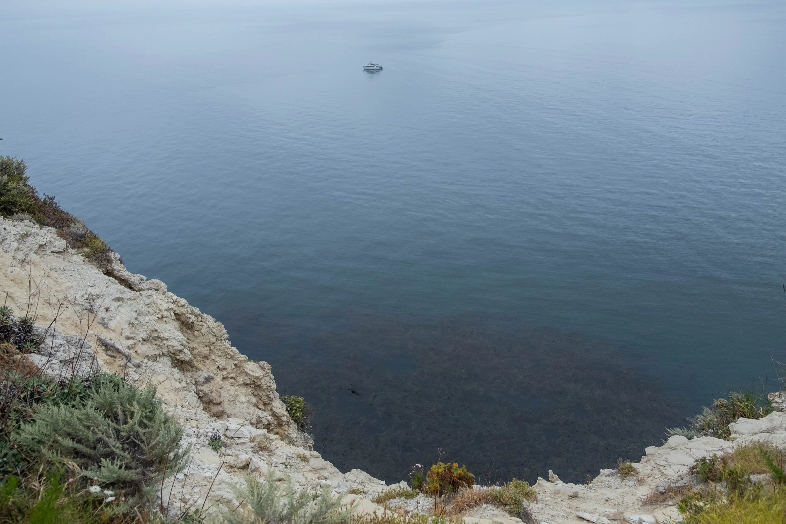 DSCF9828.jpg