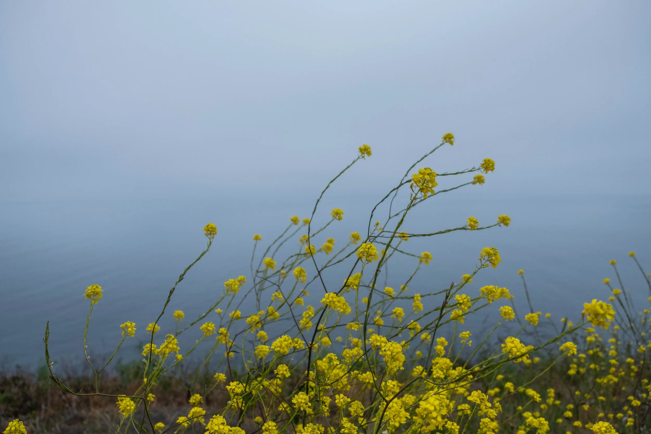 DSCF9835.jpg